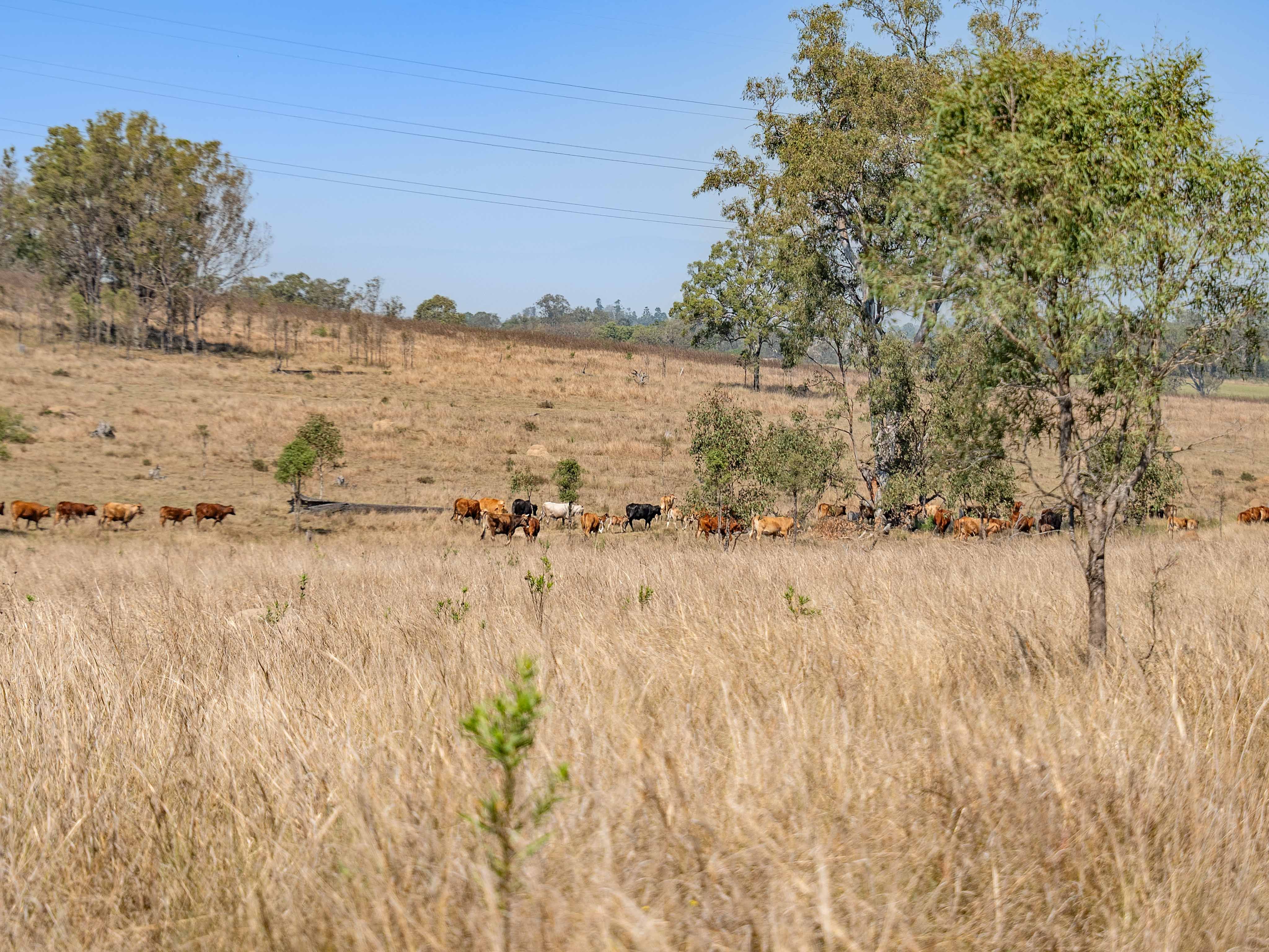 Unnamed Road, Mount Forbes QLD 4340, Mount Forbes - Thumbnail 6