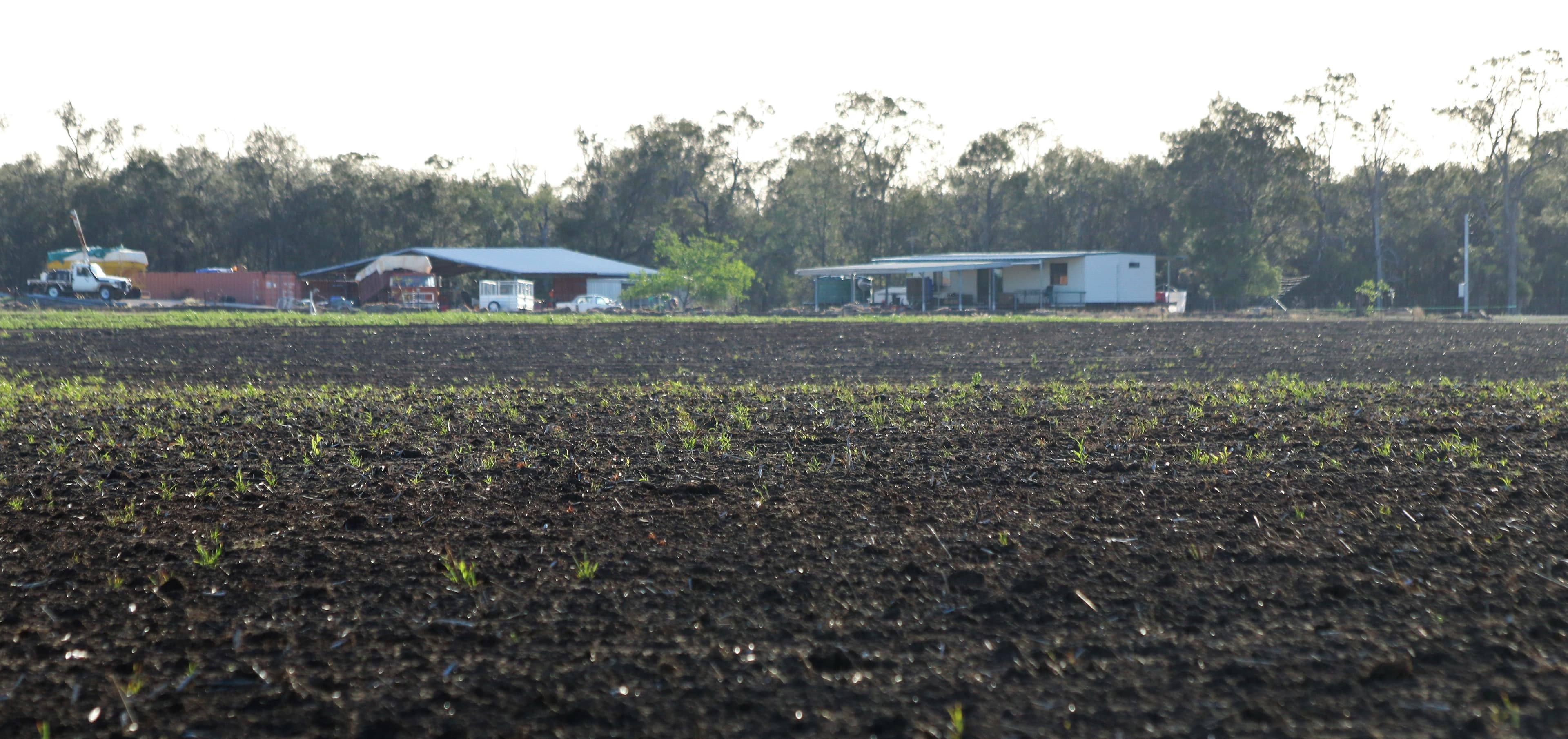 0 Mount Abundance Road, Roma QLD 4455, Roma - Thumbnail 7