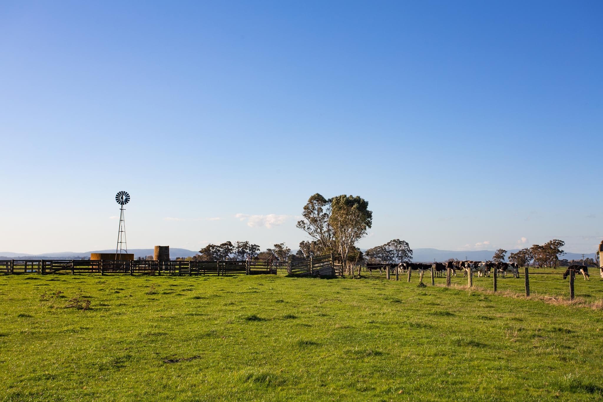 Lots 1 & 2 Simpson Road, Iona VIC 3815, Iona - Thumbnail 8