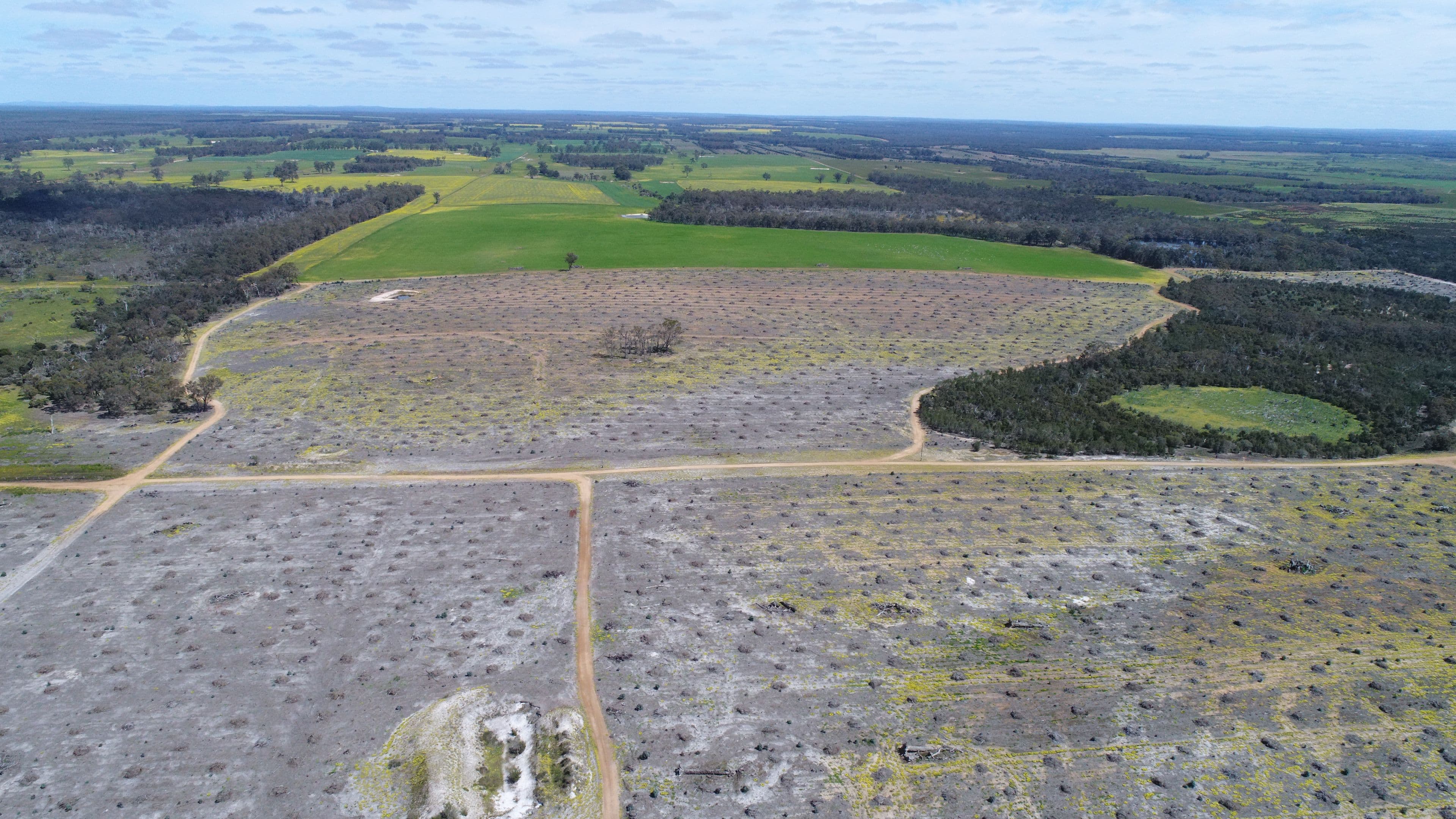 674 Kwornicup Road, Forest Hill WA 6324, Forest Hill - Thumbnail 4