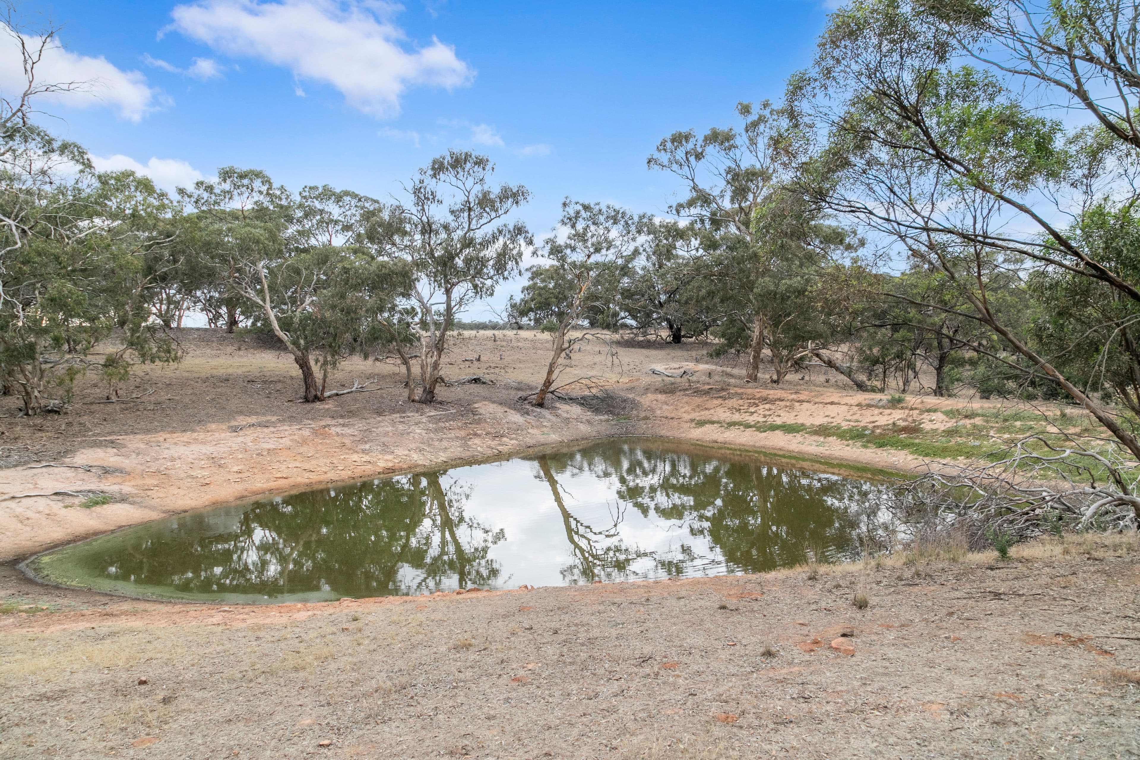 'Manoora Block' Wilmott Road, Manoora SA 5414, Manoora - Thumbnail 4