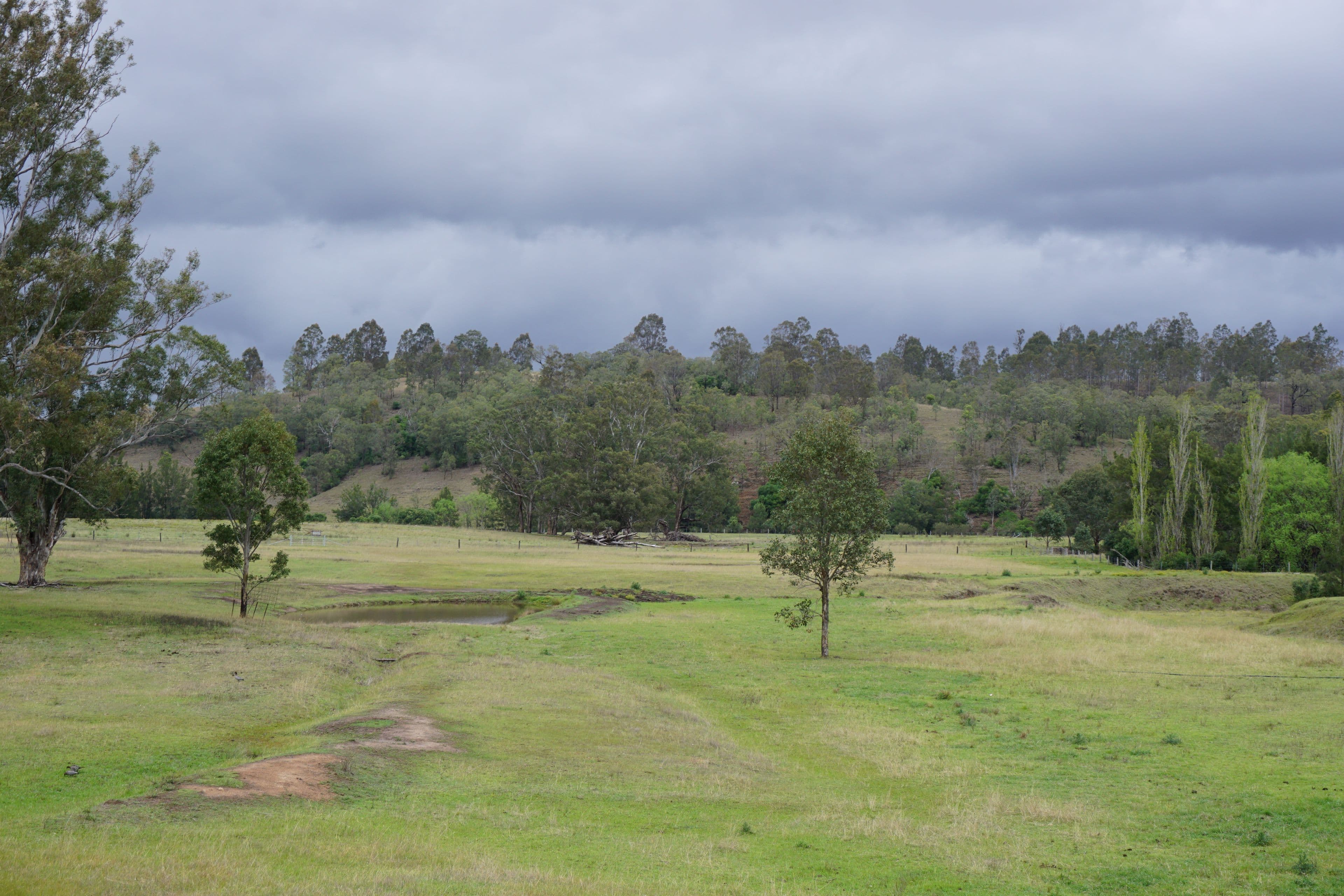 1475 Mirannie Road, Singleton NSW 2330, Singleton - Thumbnail 8