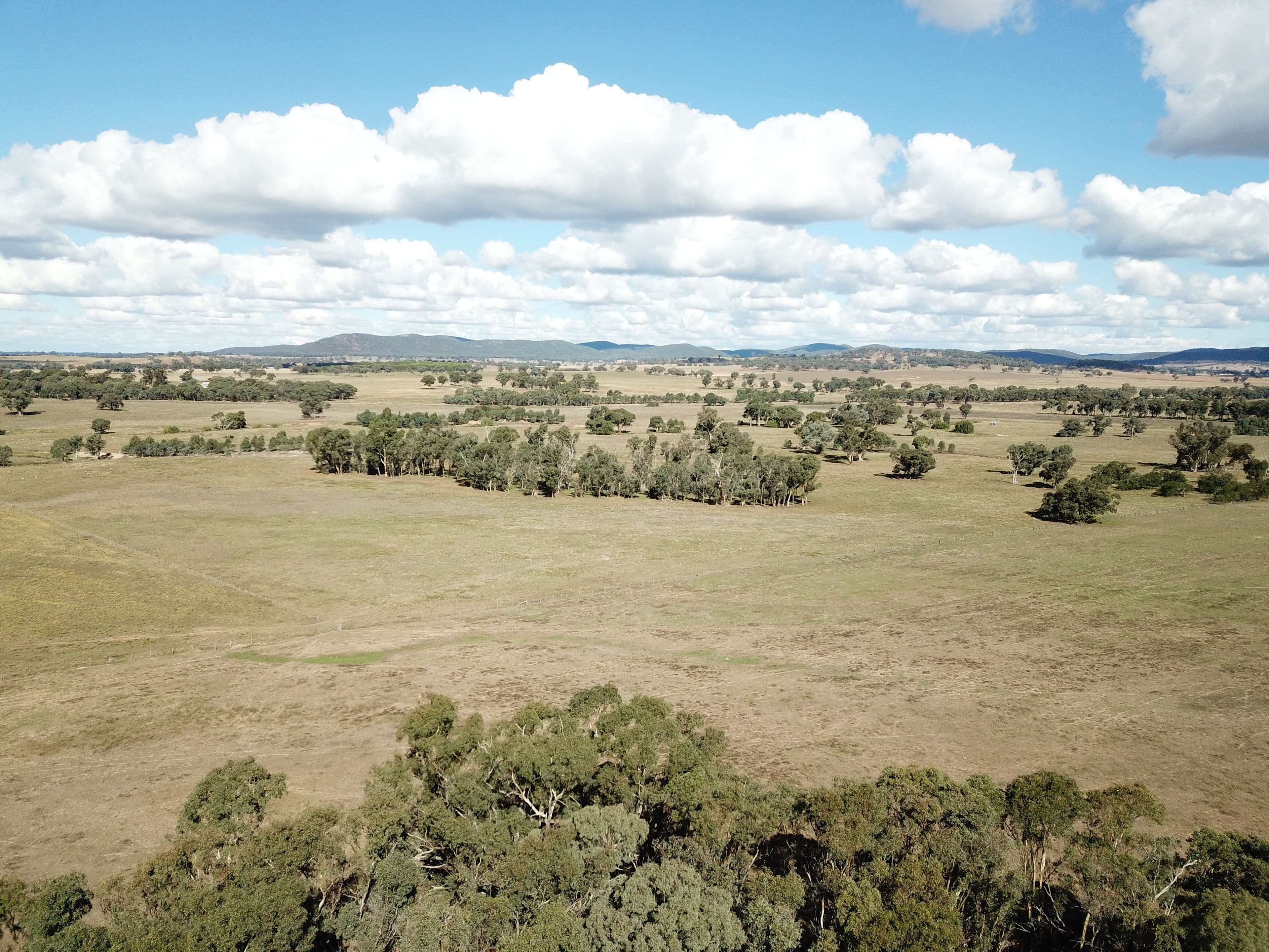 'Emrose' 6702 Renshaw McGirr Way, Baldry NSW 2867, Baldry - Thumbnail 4