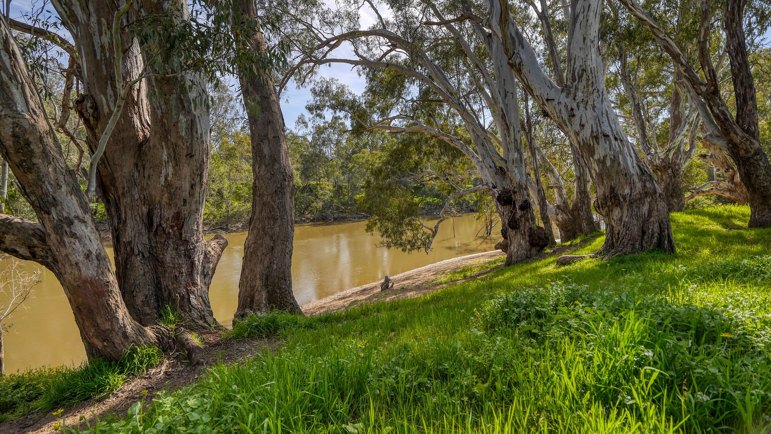 Morrissy Park, Goulburn Weir VIC 3608, Goulburn Weir - Thumbnail 7