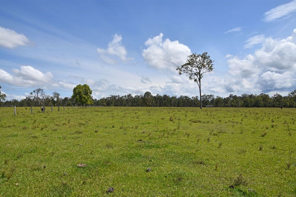 Lot 37 Tullymorgan Road, Lawrence NSW 2460, Lawrence - Thumbnail 7