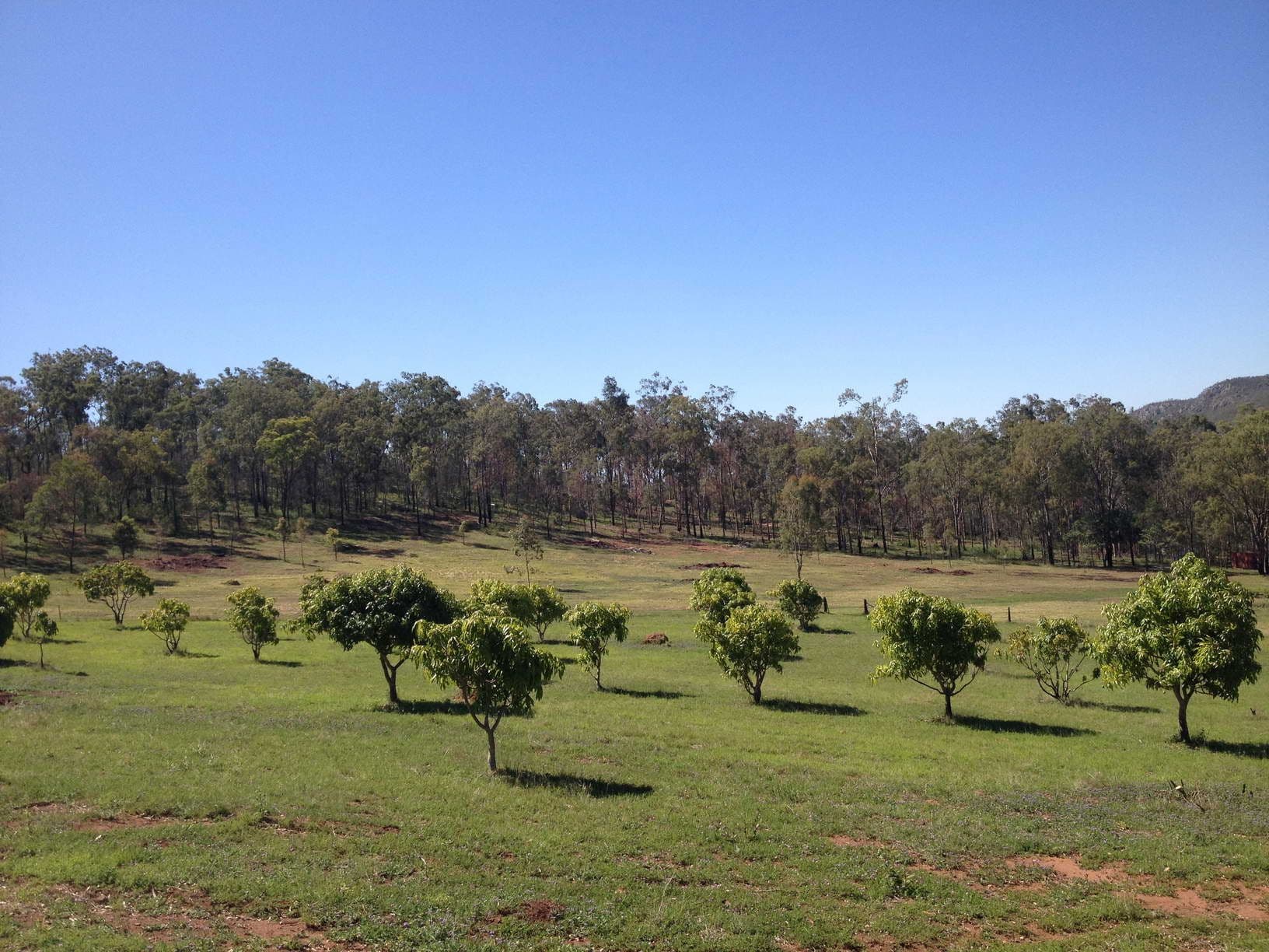 Lot 2 Gatton Esk Road, Esk QLD 4312, Esk - Thumbnail 8