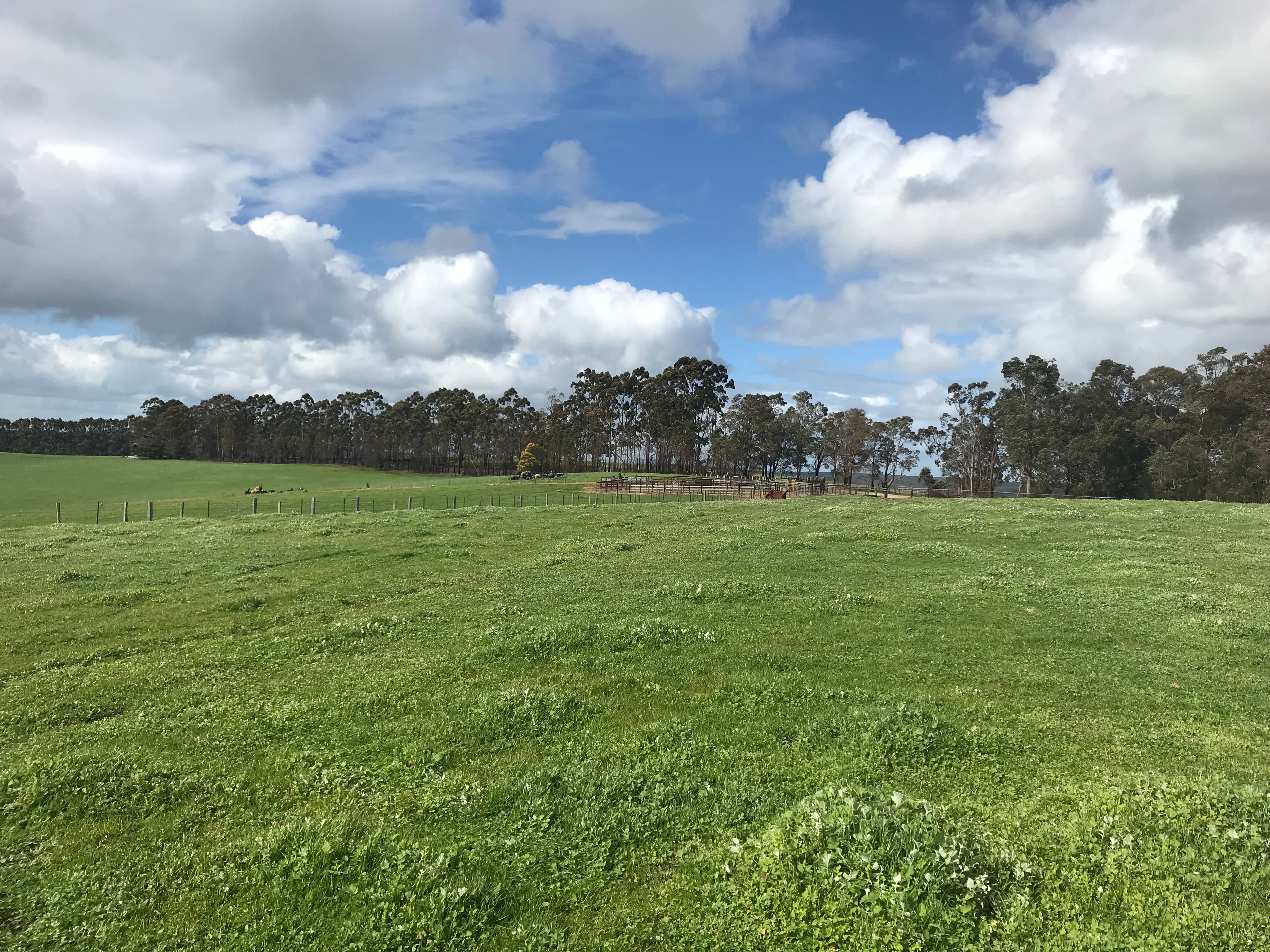 10473 Brockman Highway, Bridgetown WA 6255, Bridgetown - Thumbnail 7