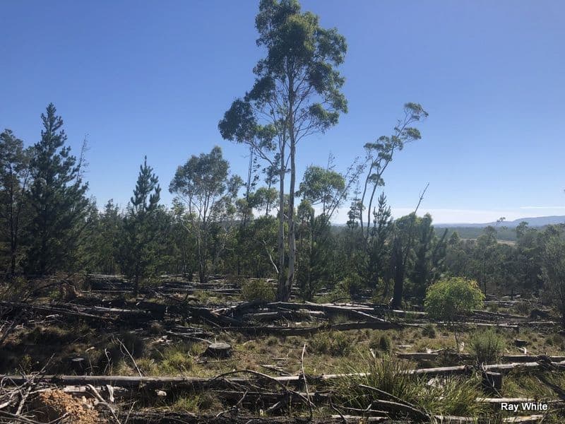 Lot 94 Back Creek Road, Braidwood NSW 2622, Braidwood - Thumbnail 5