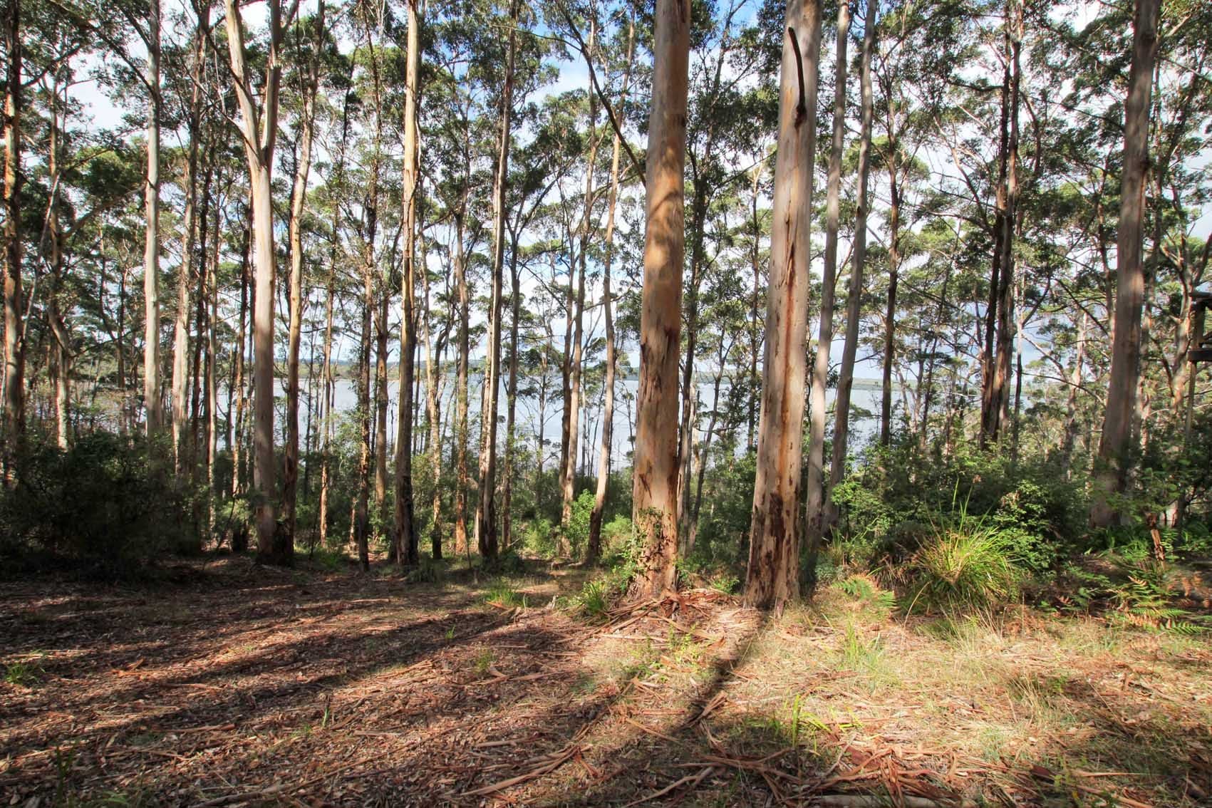 23 Payne Road, Denmark WA 6333, Denmark - Thumbnail 3