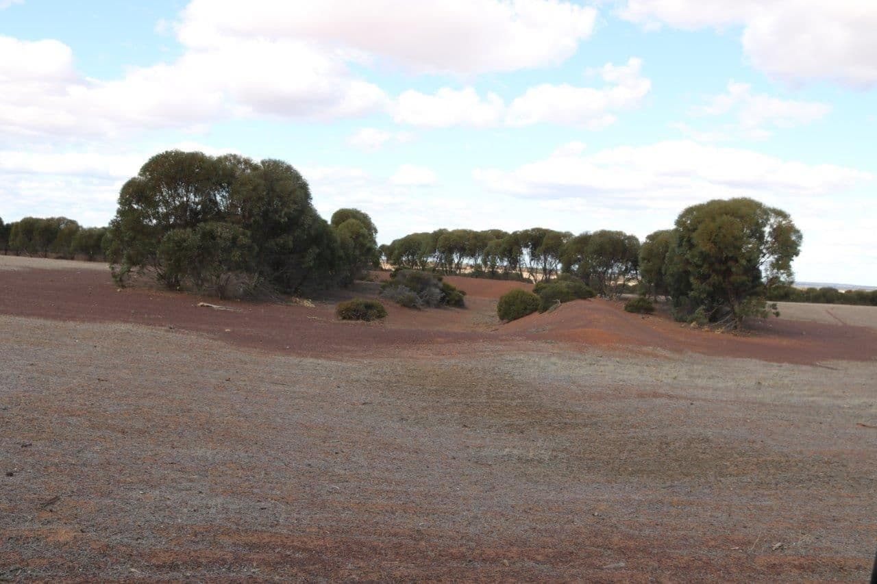 L265 Calzoni Road, Woolocutty WA 6369, Woolocutty - Thumbnail 7