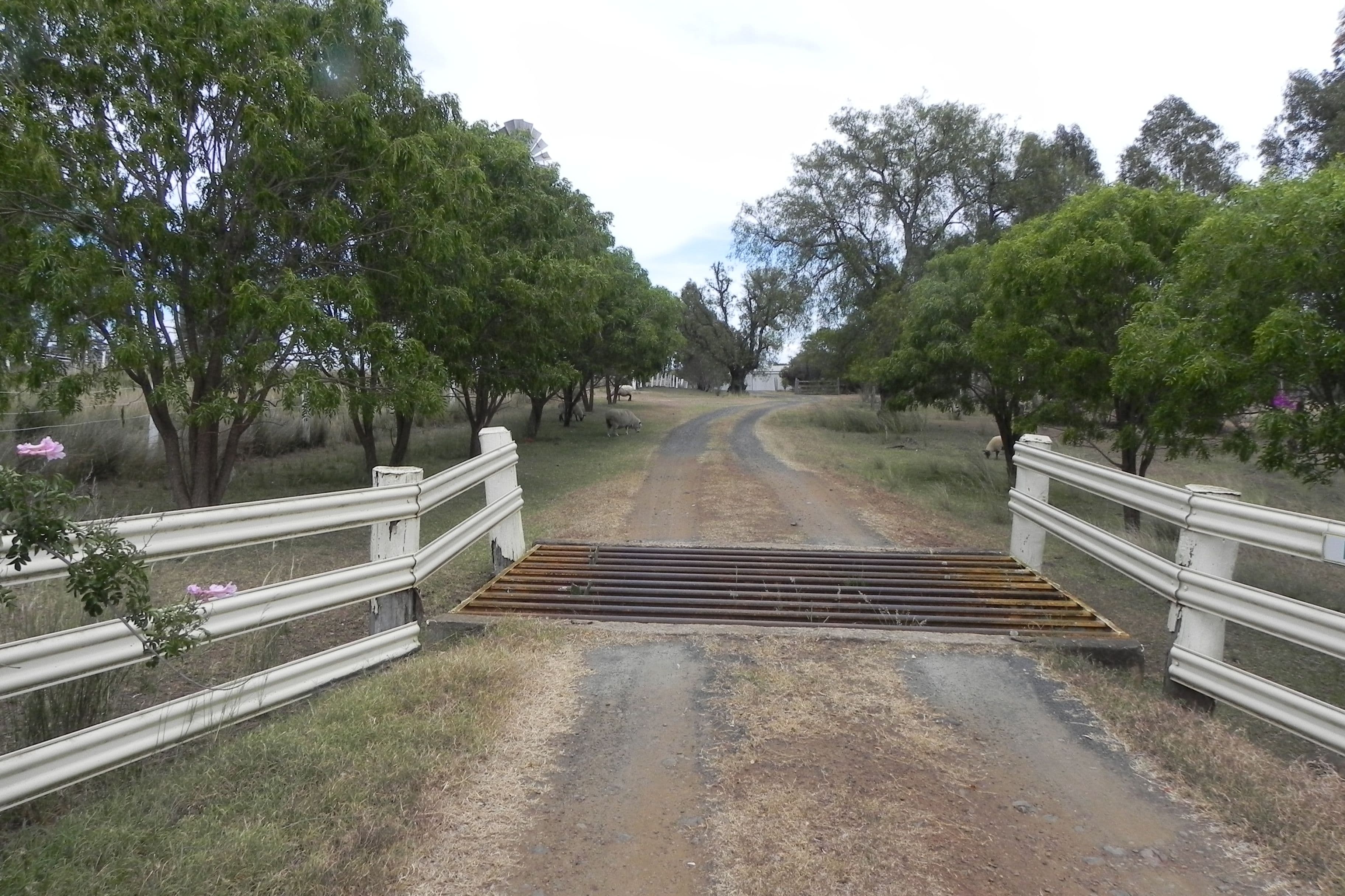 438 Berghofers Road, Athol QLD 4350, Athol - Thumbnail 4