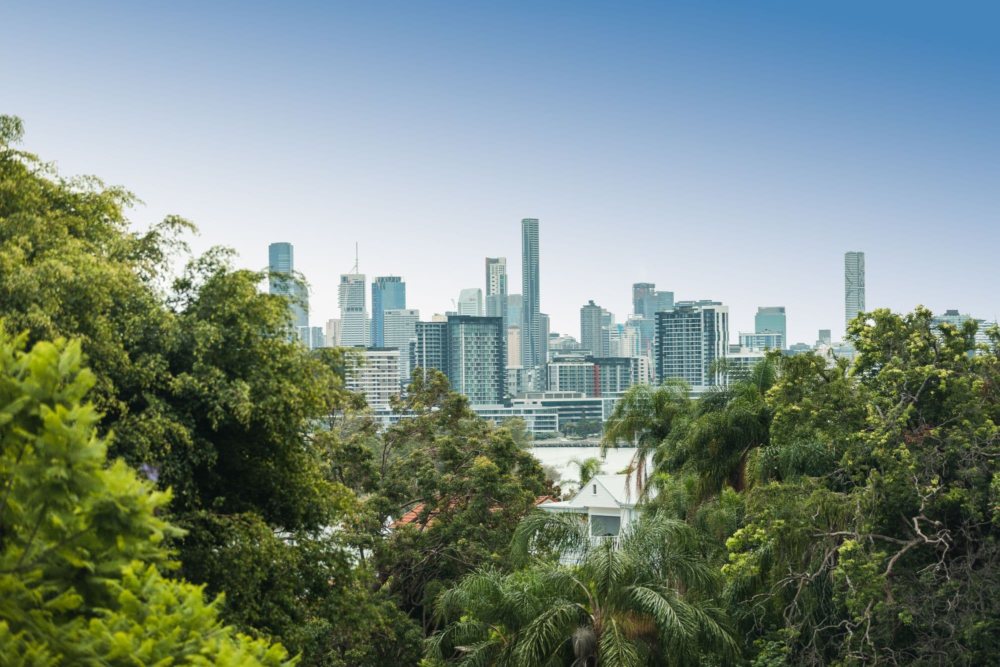 19-21 Ludlow Street, Hamilton QLD 4007, Hamilton - Thumbnail 3