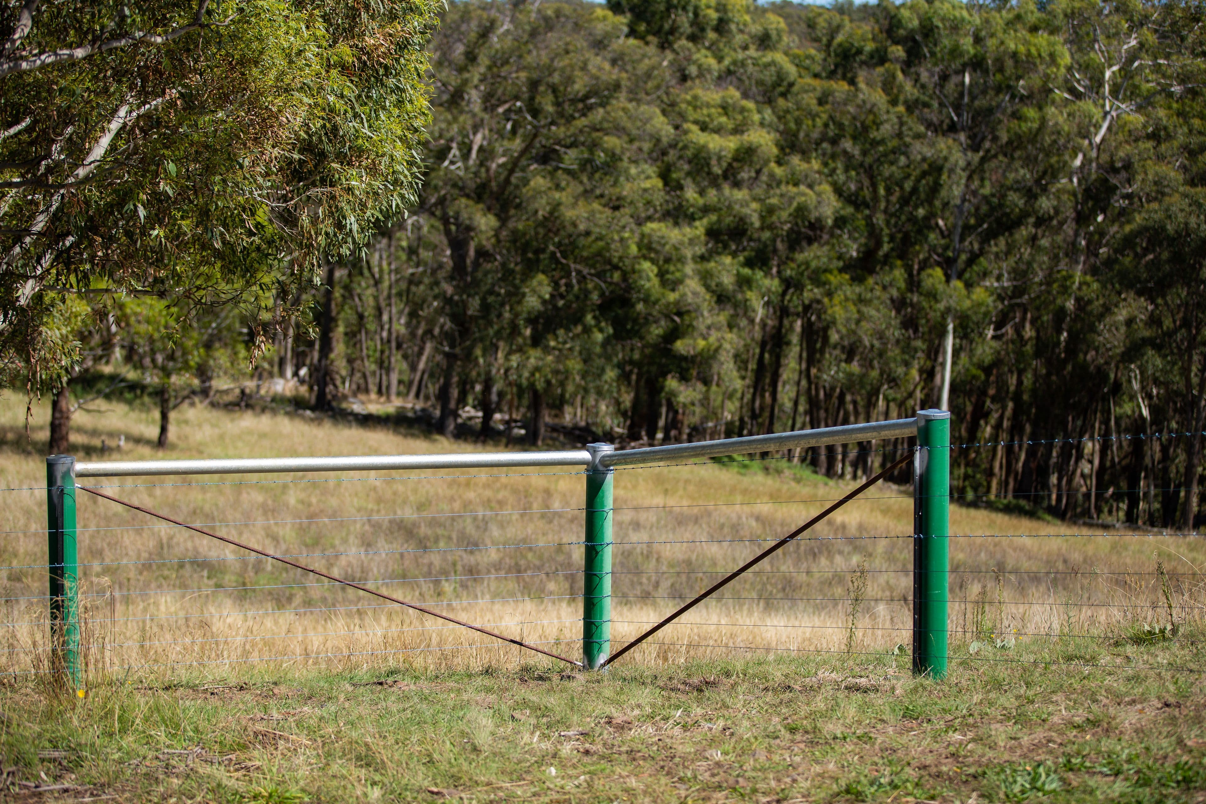 479 Whans Road, Llangothlin NSW 2365, Llangothlin - Thumbnail 6