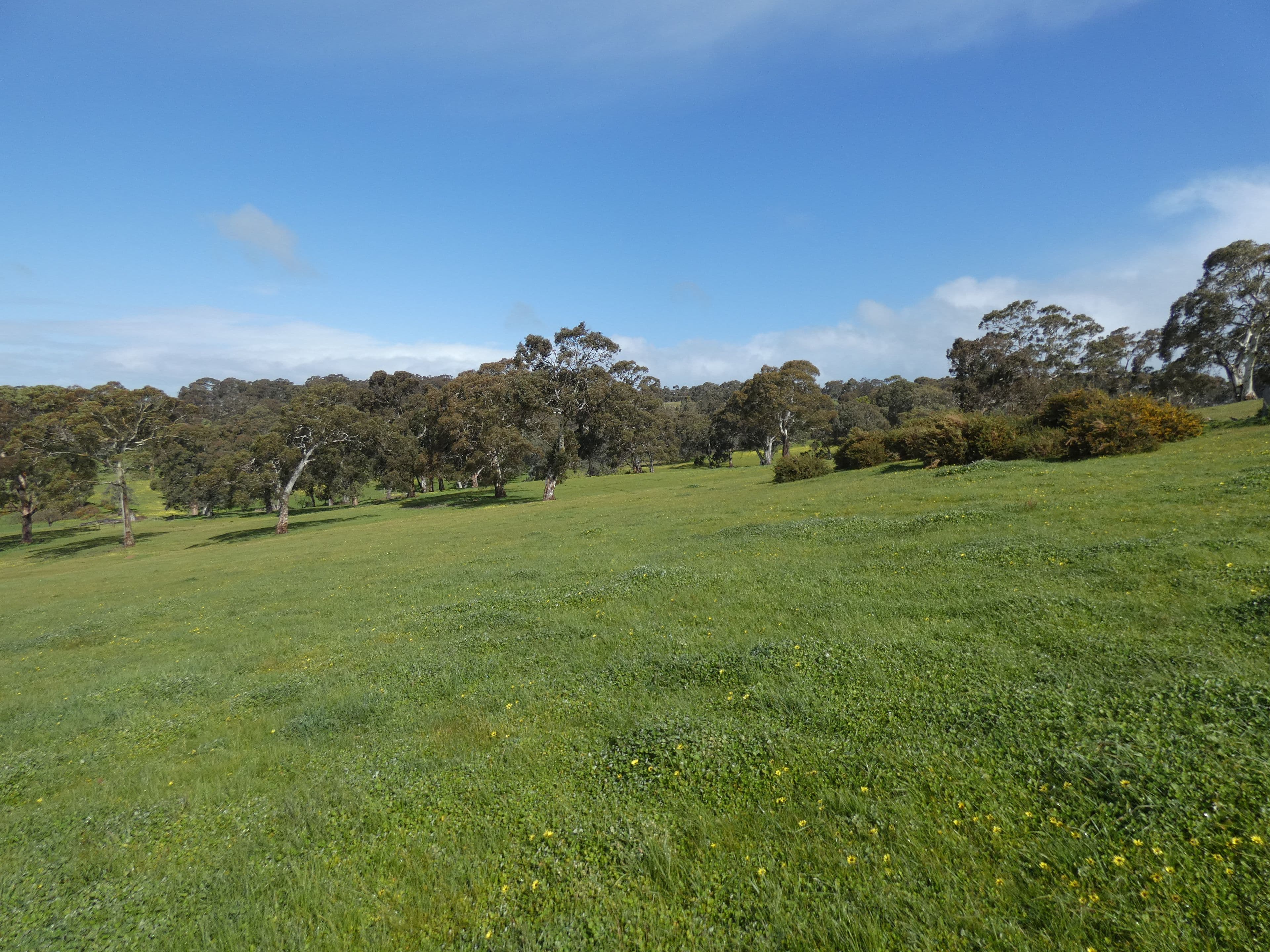 66 Nestor Road, Macclesfield SA 5153, Macclesfield - Thumbnail 5