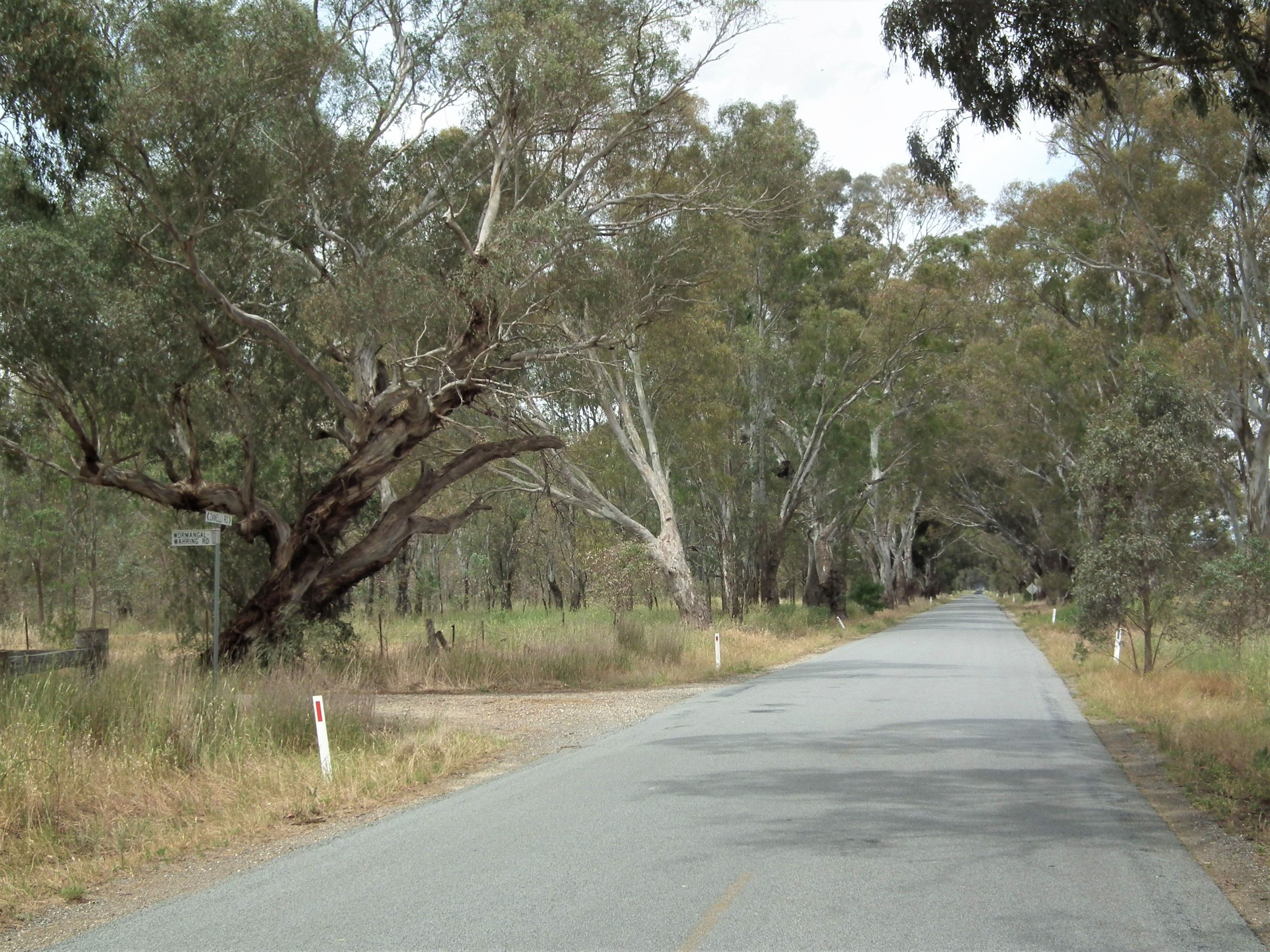 22 Wormangal-Wahring Road, Nagambie VIC 3608, Nagambie - Thumbnail 7