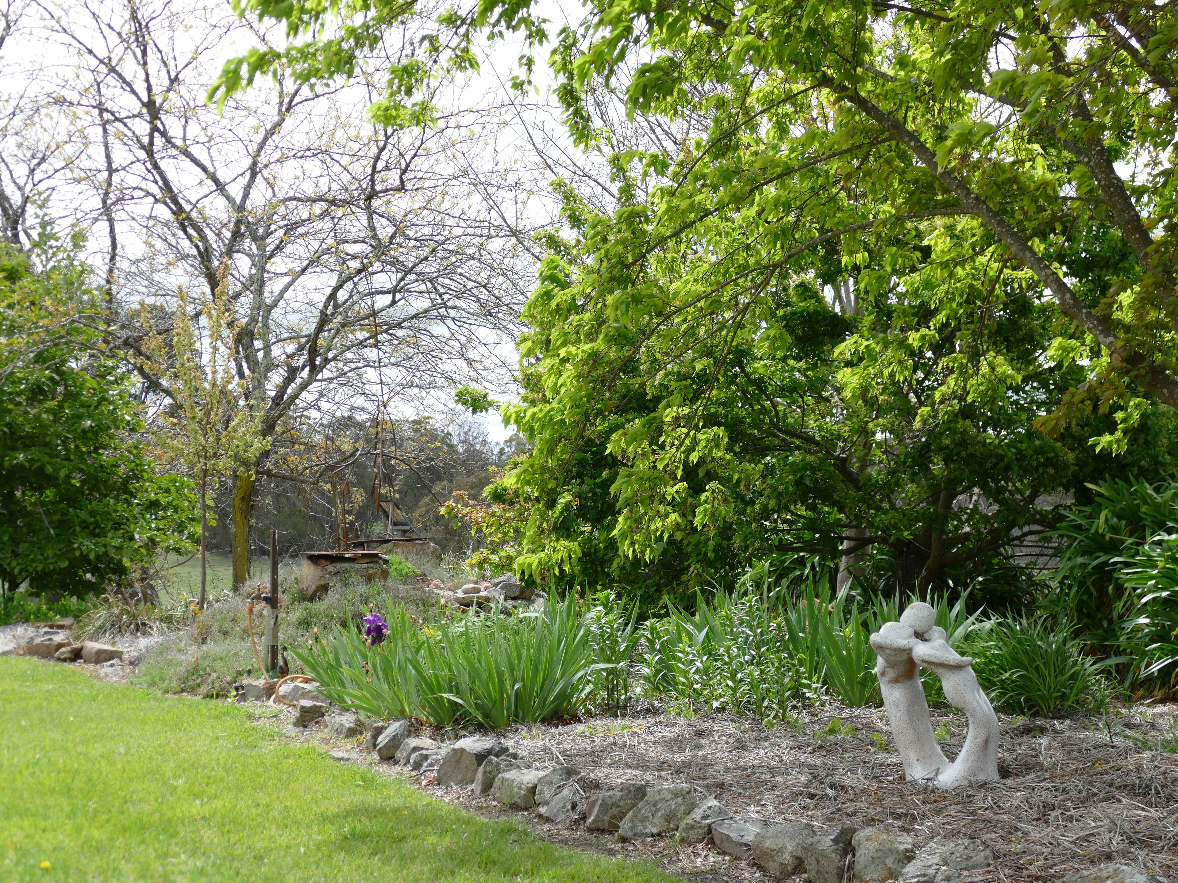 8 McGauran Lane, Glen Innes NSW 2370, Glen Innes - Thumbnail 6