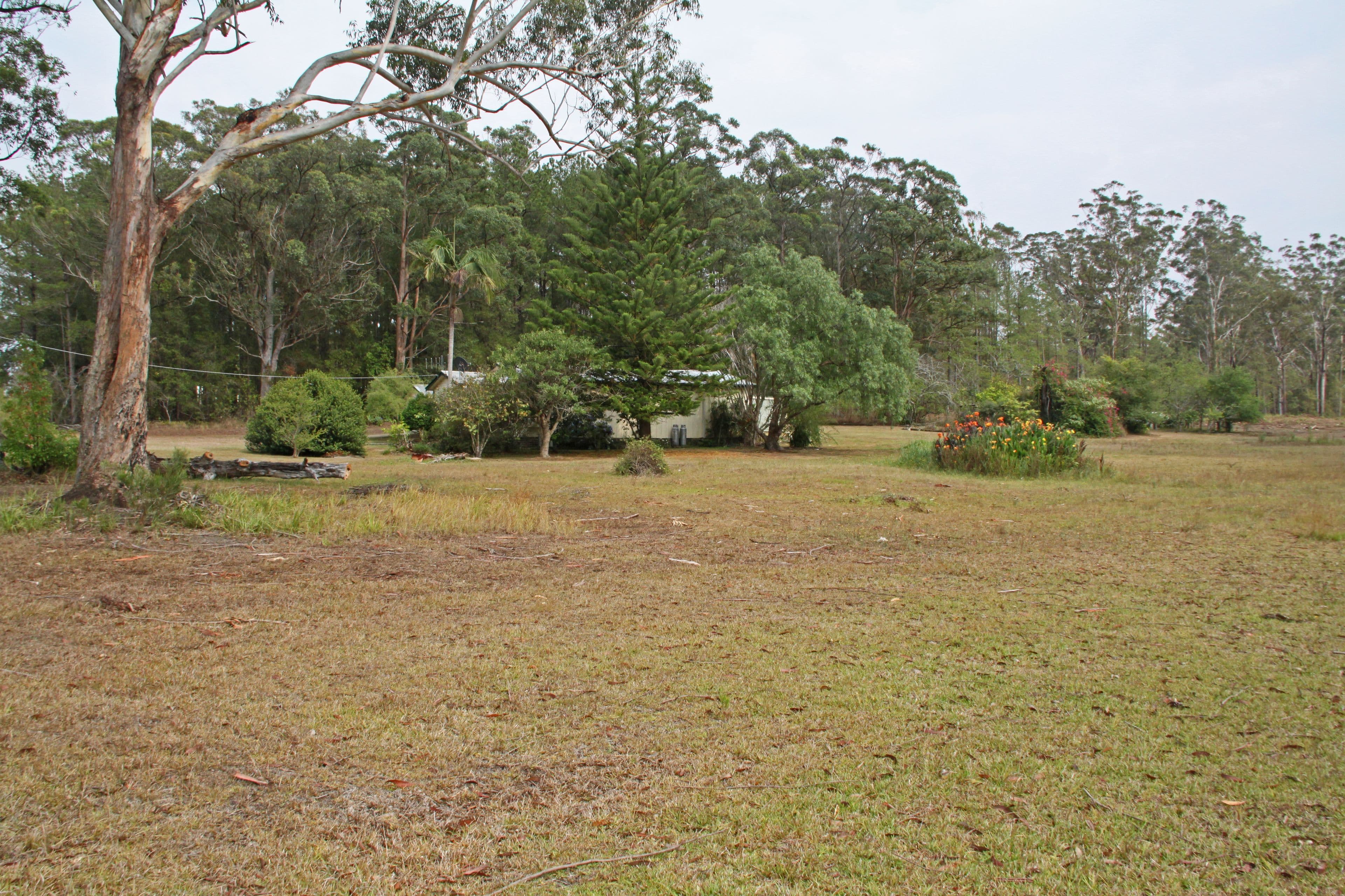 119 Ocean Drive, Kew NSW 2439, Kew - Thumbnail 2