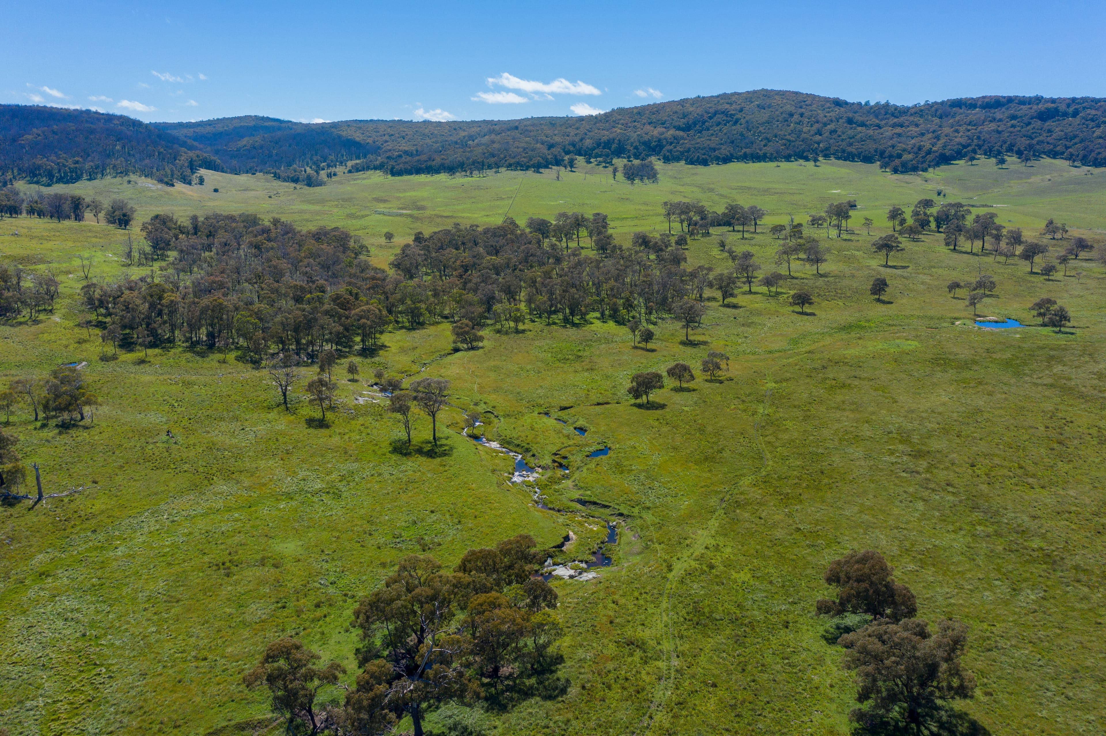 161 Nine Mile Road, Dundee NSW 2370, Dundee - Thumbnail 5