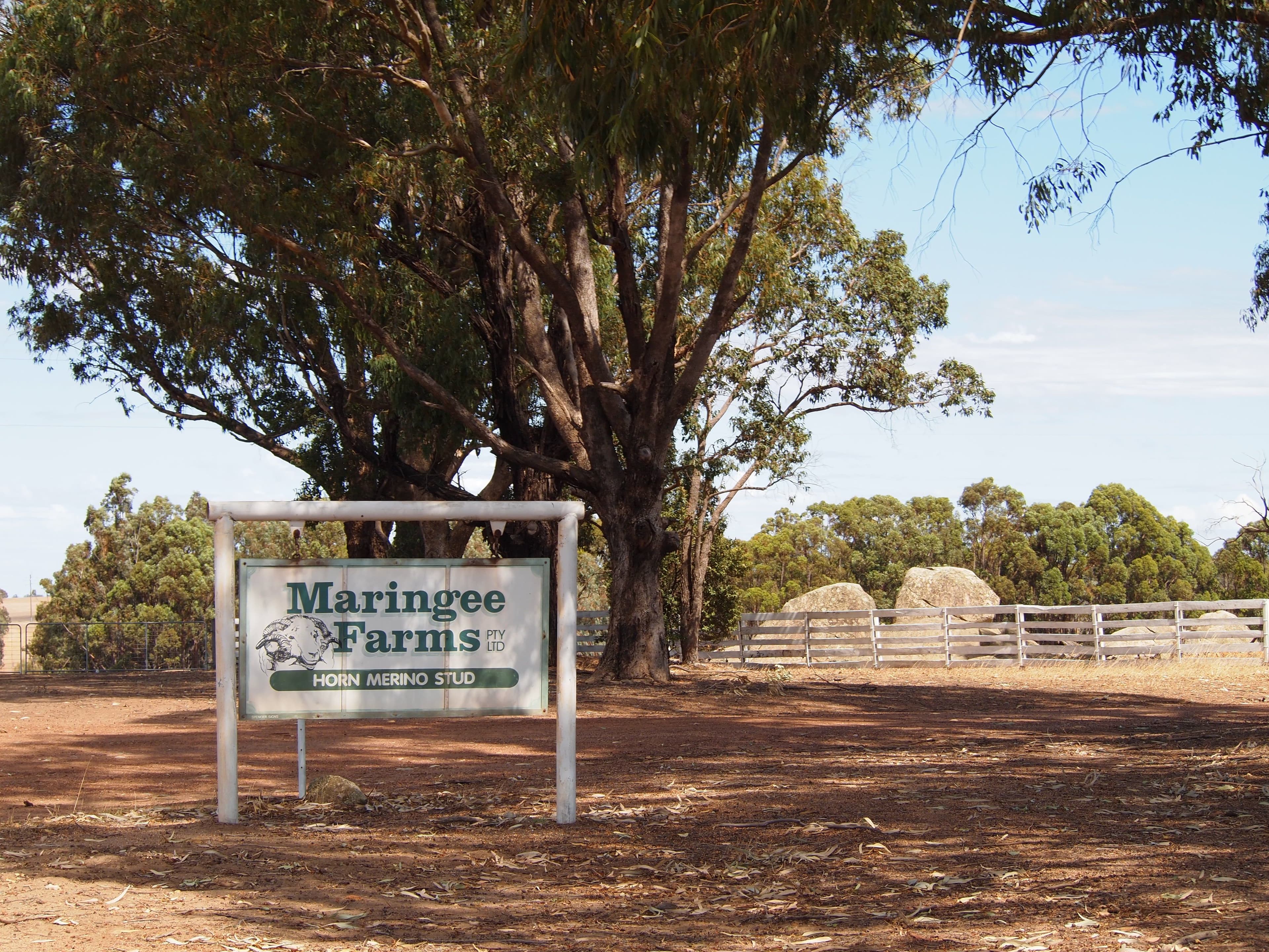 Maringee Farm, Trigwell Bridge Road, Darkan WA 6392, Darkan - Image 1
