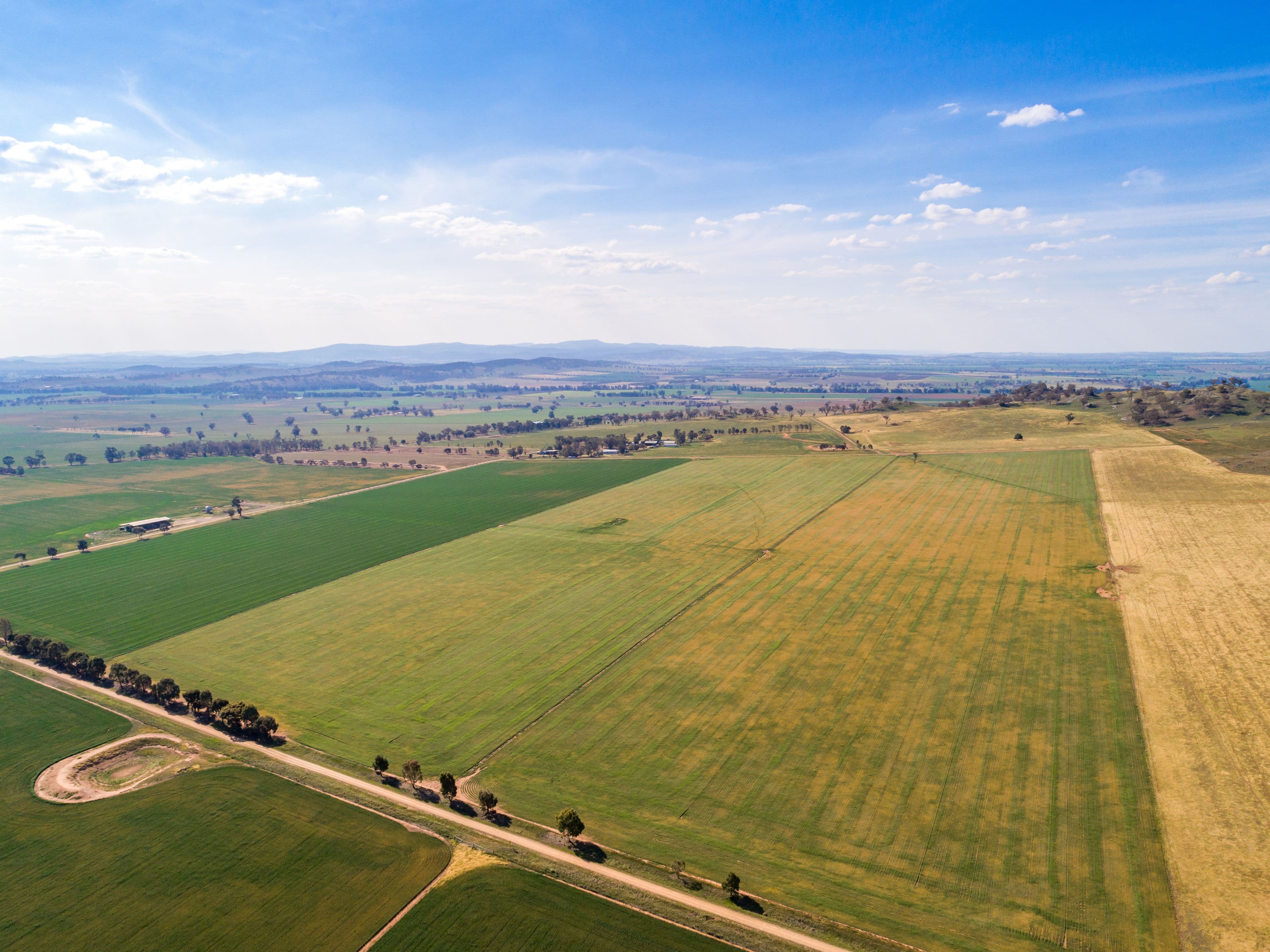 191 Troopers Road, Canowindra NSW 2804, Canowindra - Thumbnail 2