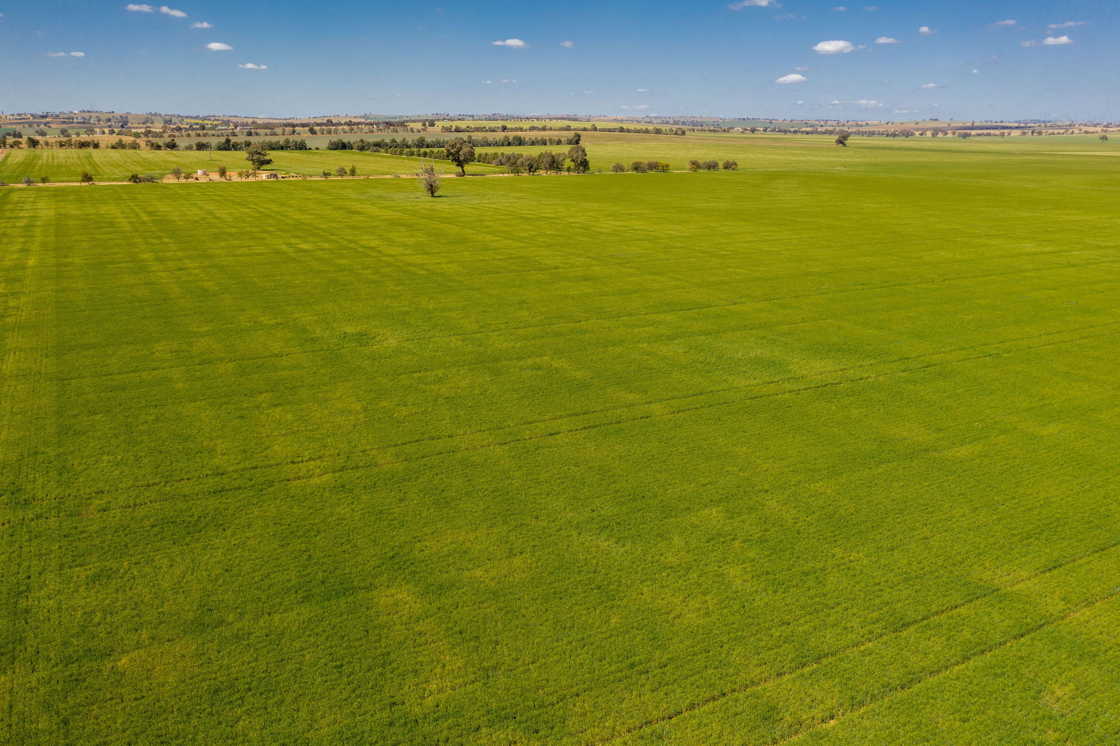 Junee NSW 2663, Junee - Thumbnail 6