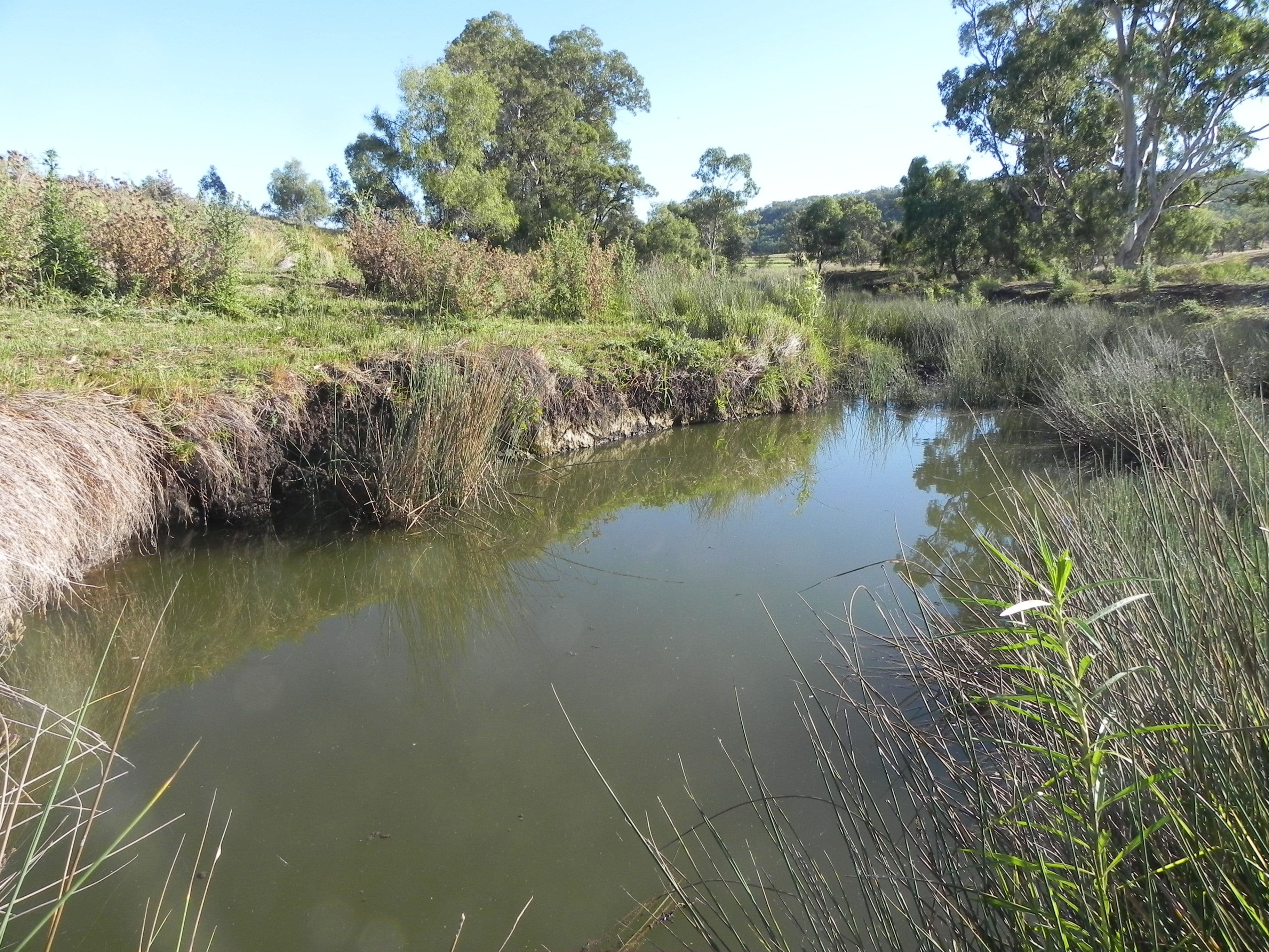 Lot 97 534 Linthorpe Valley Road, Southbrook QLD 4363, Southbrook - Thumbnail 2