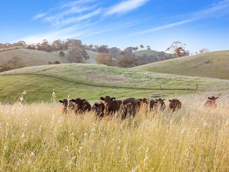 123 O'Dea Road, KENTON VALLEY SA 5233, Kenton Valley - Image 1