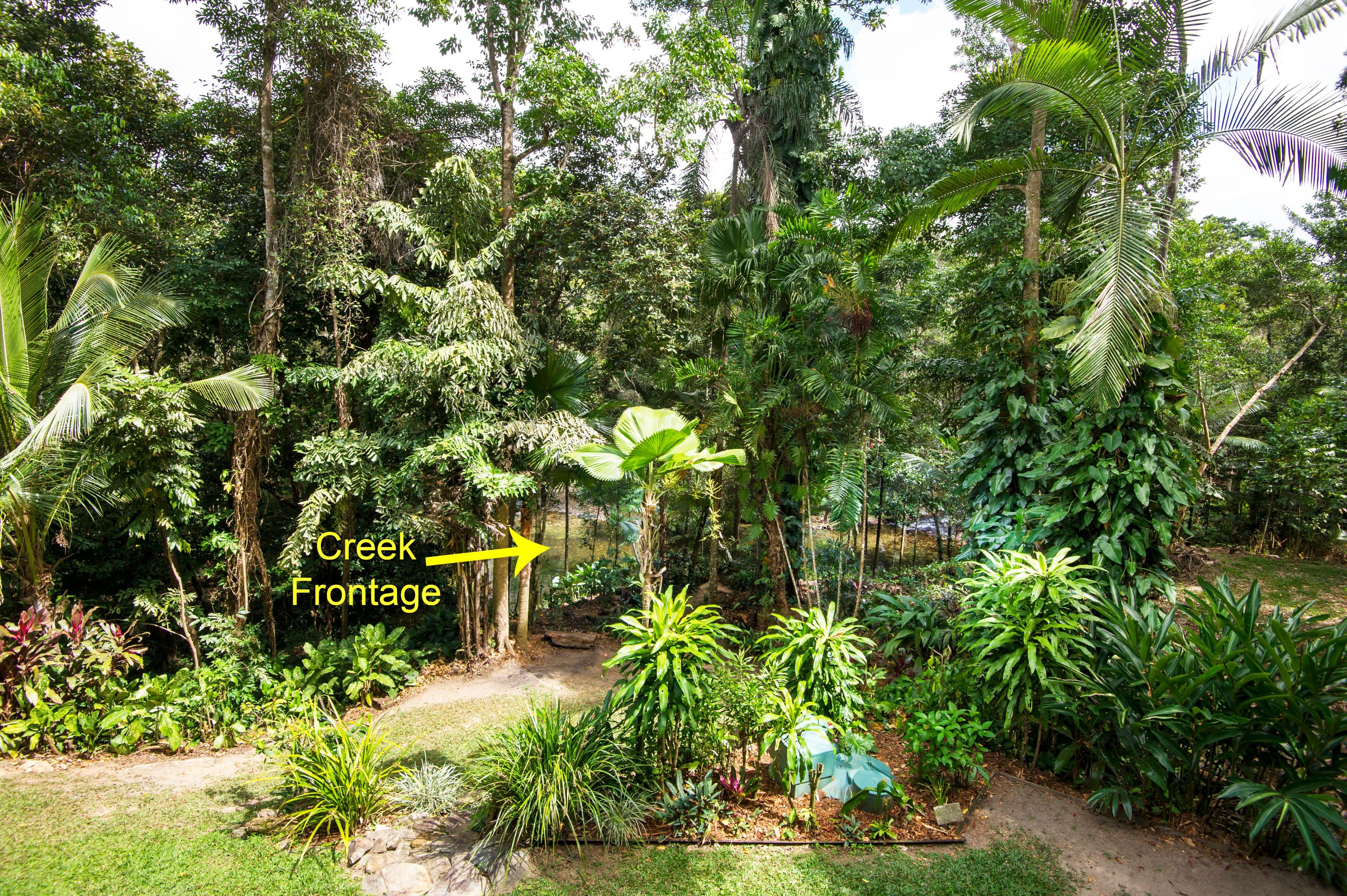 194 Ponzo Road, Shannonvale QLD 4873, Shannonvale - Thumbnail 2