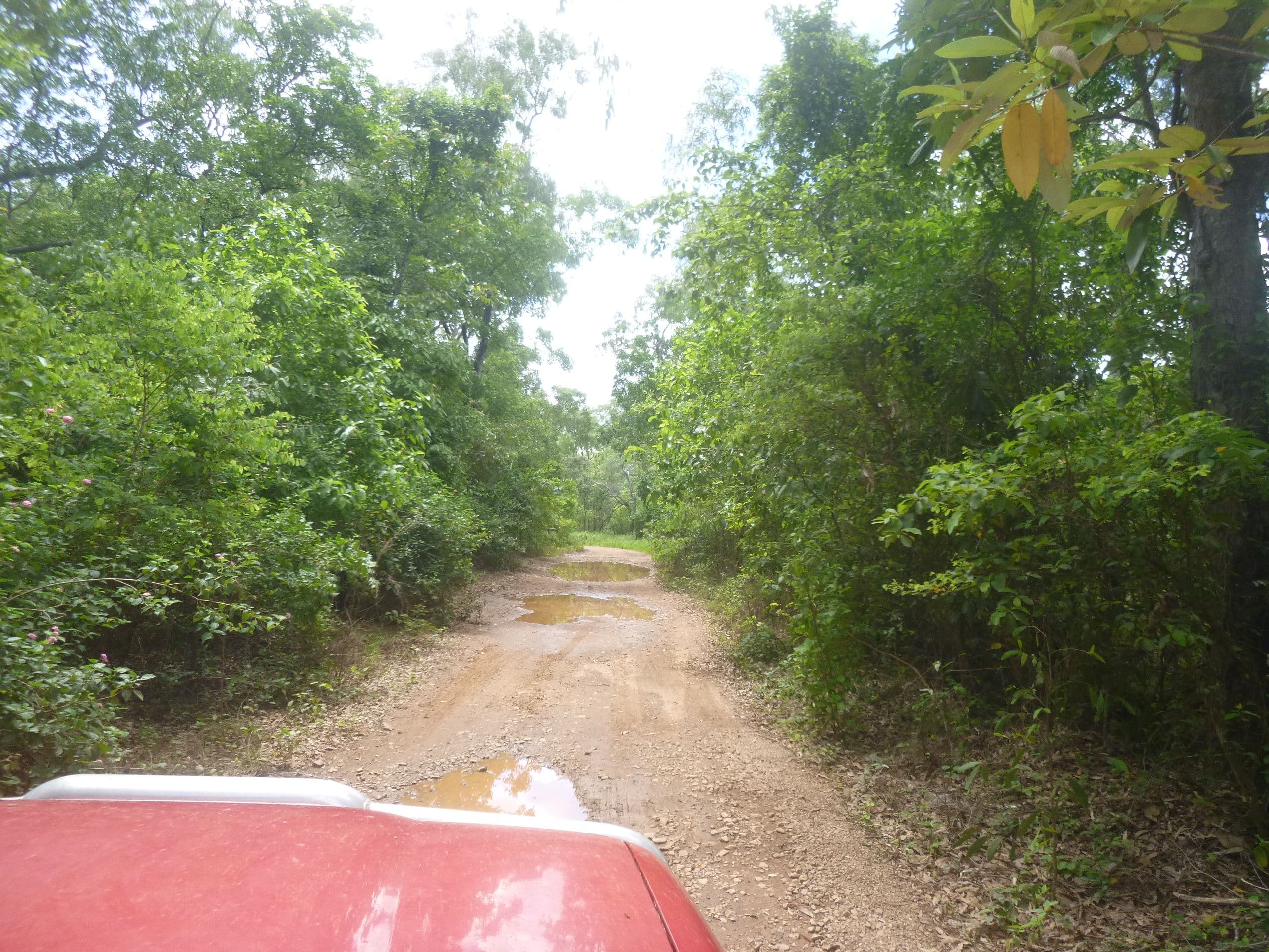 14 Palmer Road, Cooktown QLD 4895, Cooktown - Image 1