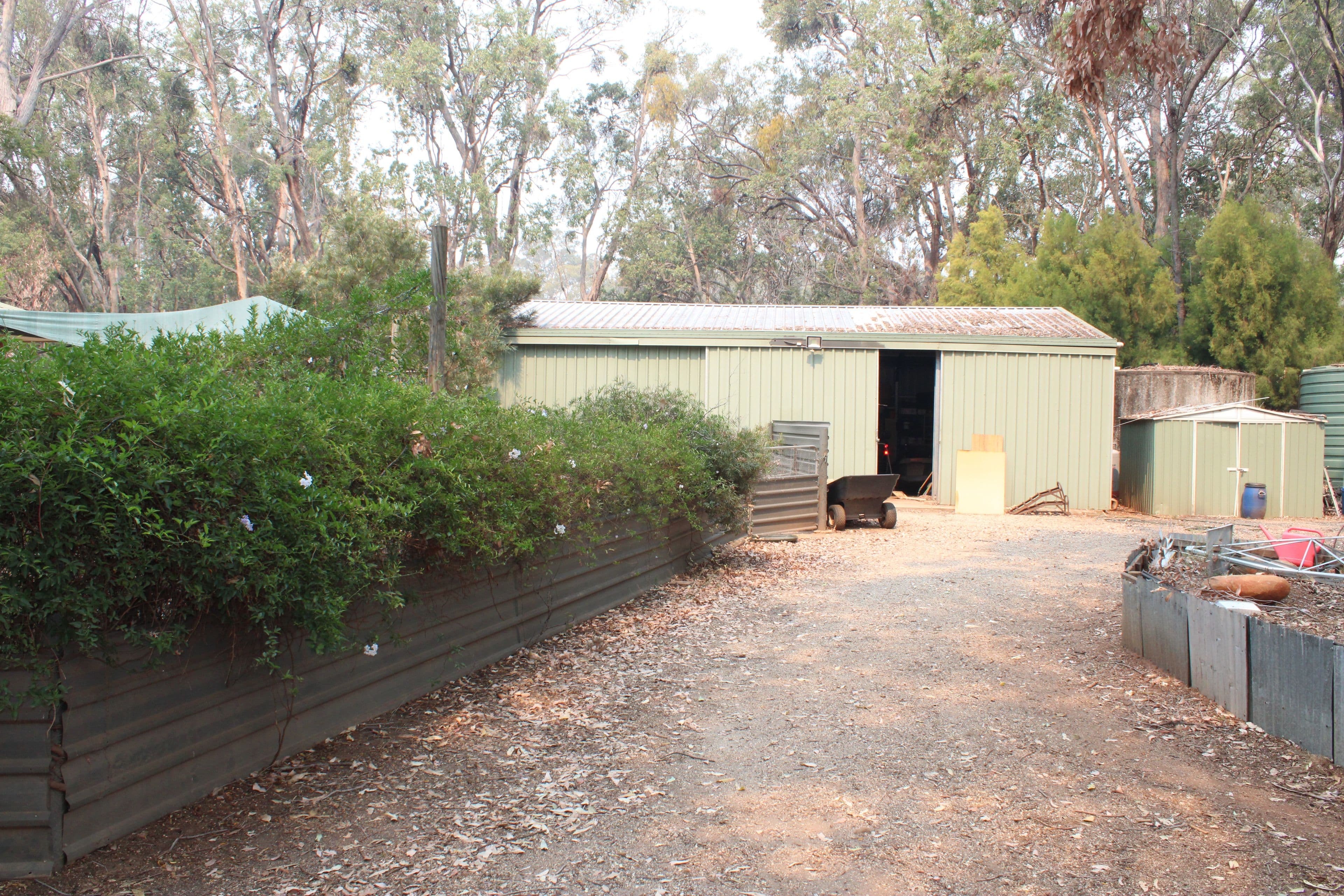 1004 Coorong Avenue, Red Cliffs VIC 3496, Red Cliffs - Thumbnail 4