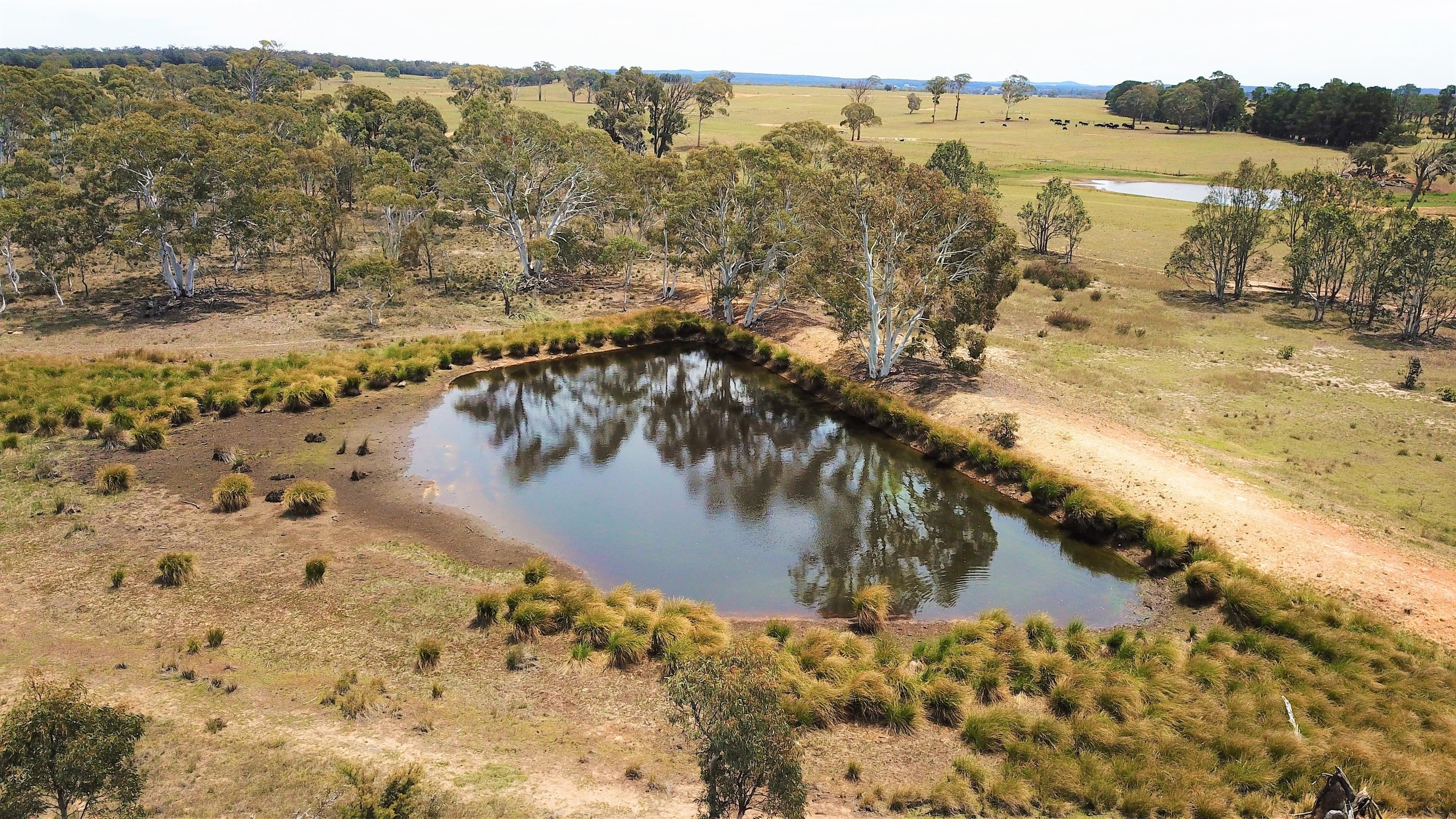 179 Masons and Owens Road, Goulburn NSW 2580, Goulburn - Thumbnail 5