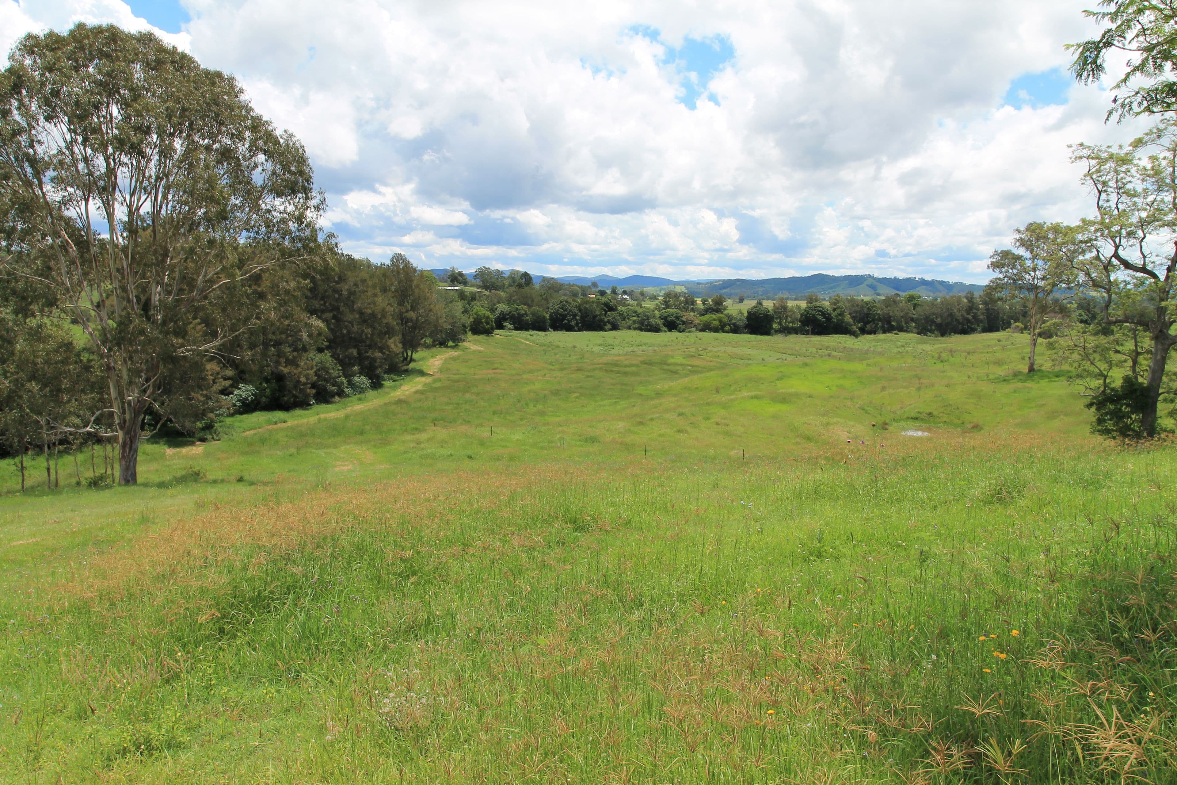 1197 Kenilworth Skyring Creek Road, Tuchekoi QLD 4570, Tuchekoi - Image 1