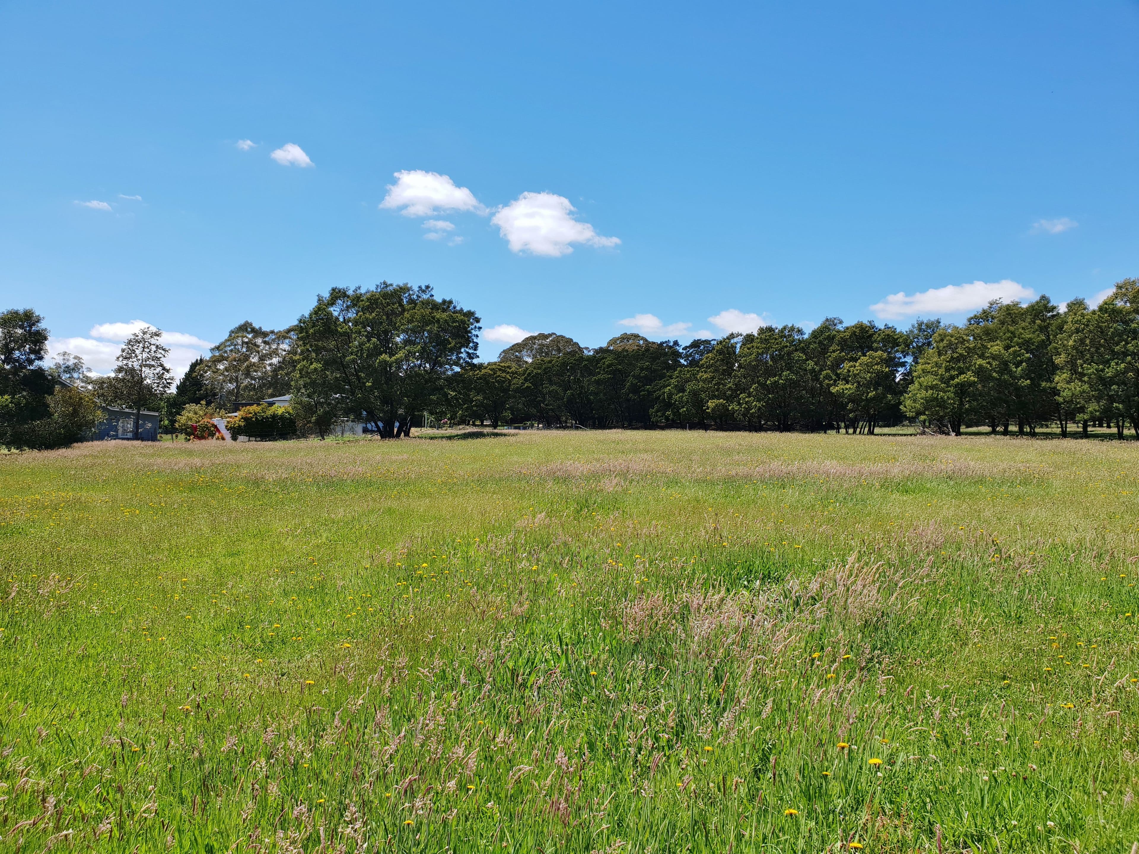 2 Roberts Street, Majors Creek NSW 2622, Majors Creek - Thumbnail 3