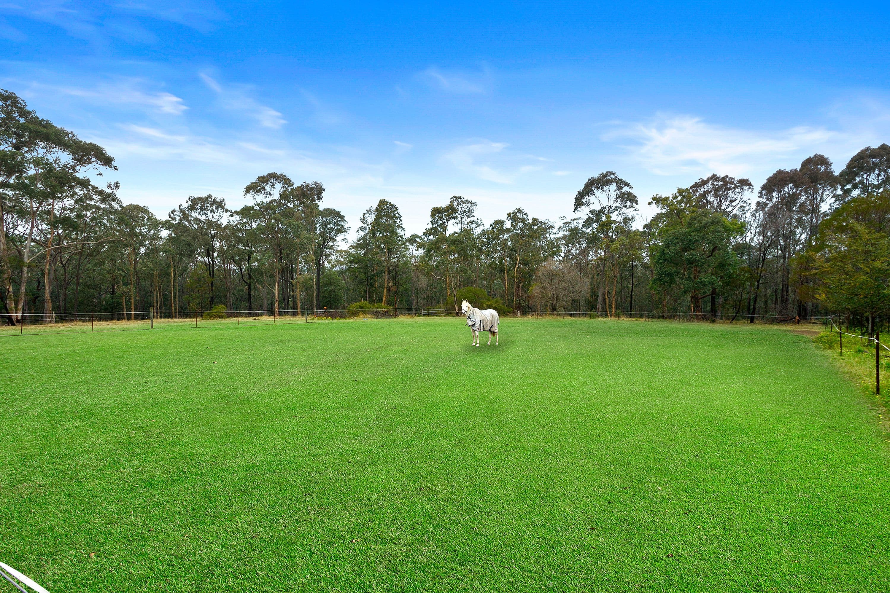 28 Warrigal Road, Kurrajong NSW 2758, Kurrajong - Thumbnail 6