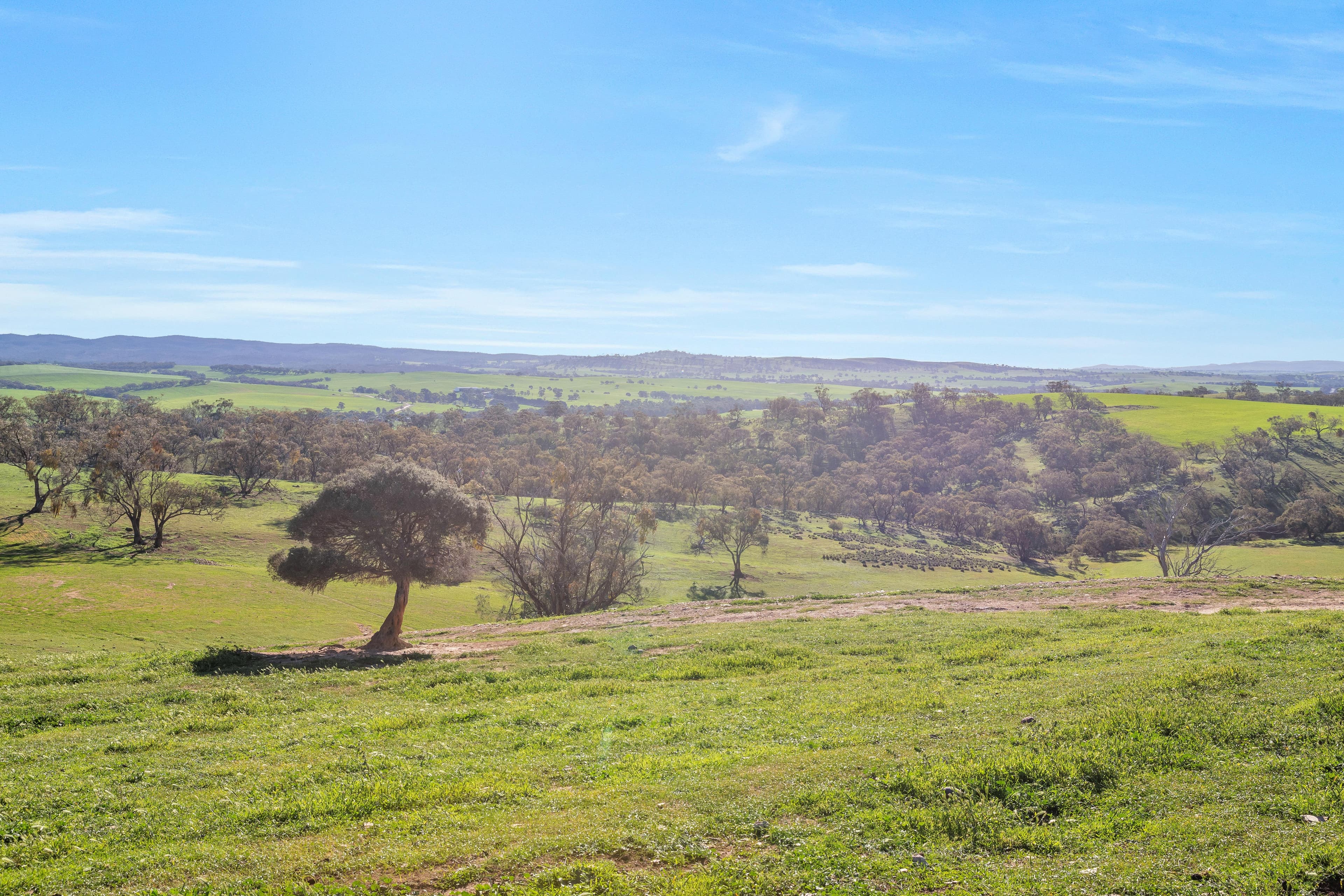 'Stone Hut' - Lot 320 Halls Road, Wirrabara SA 5481, Wirrabara - Thumbnail 7