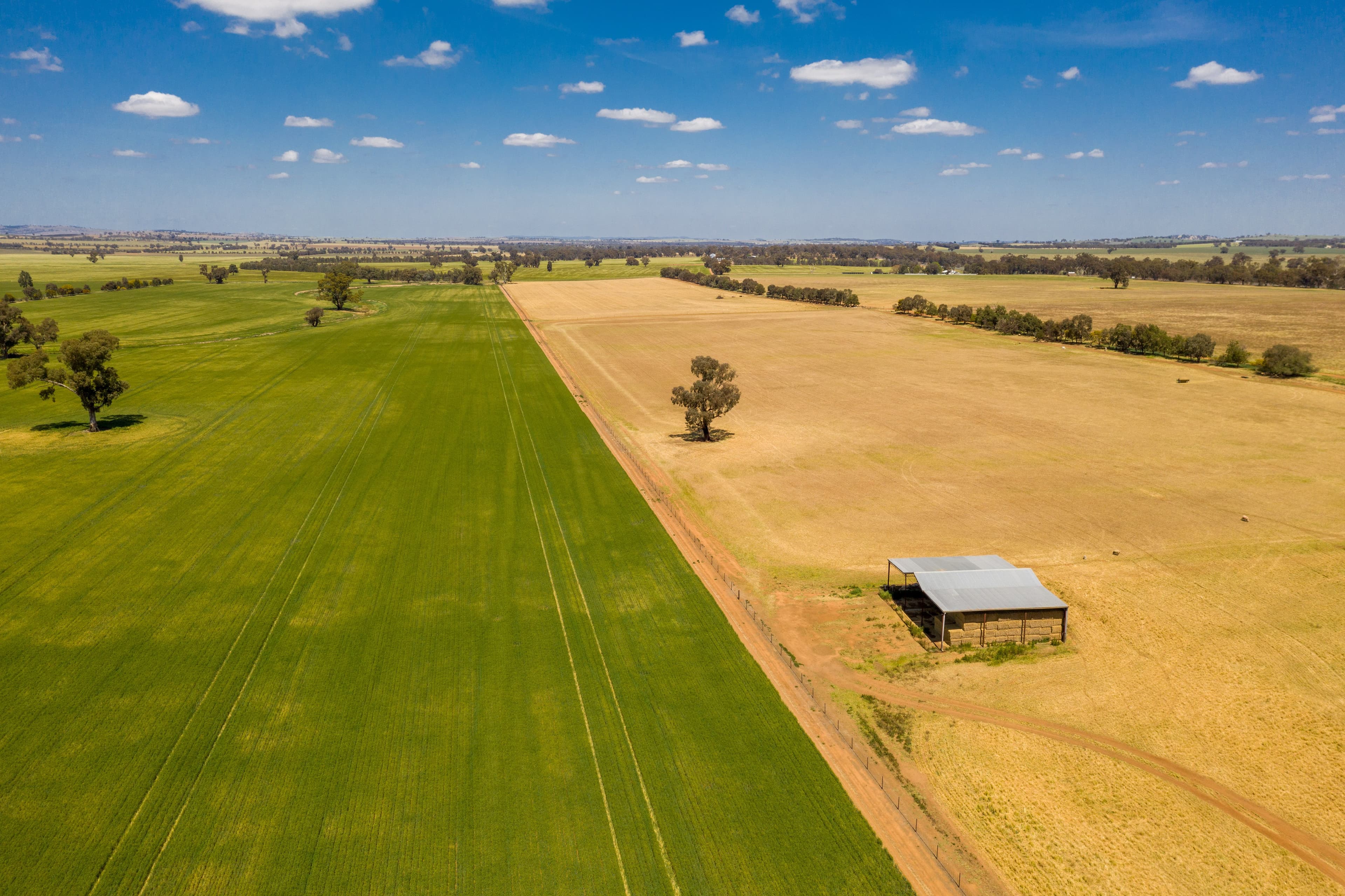 Junee NSW 2663, Junee - Thumbnail 5