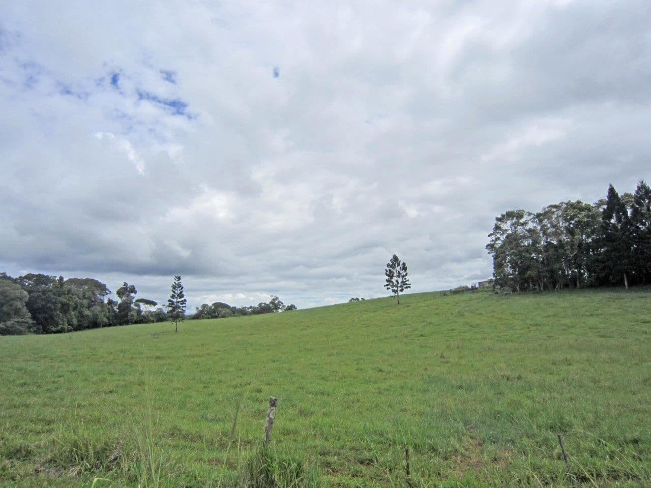 Lake Eacham QLD 4884, Lake Eacham - Thumbnail 6
