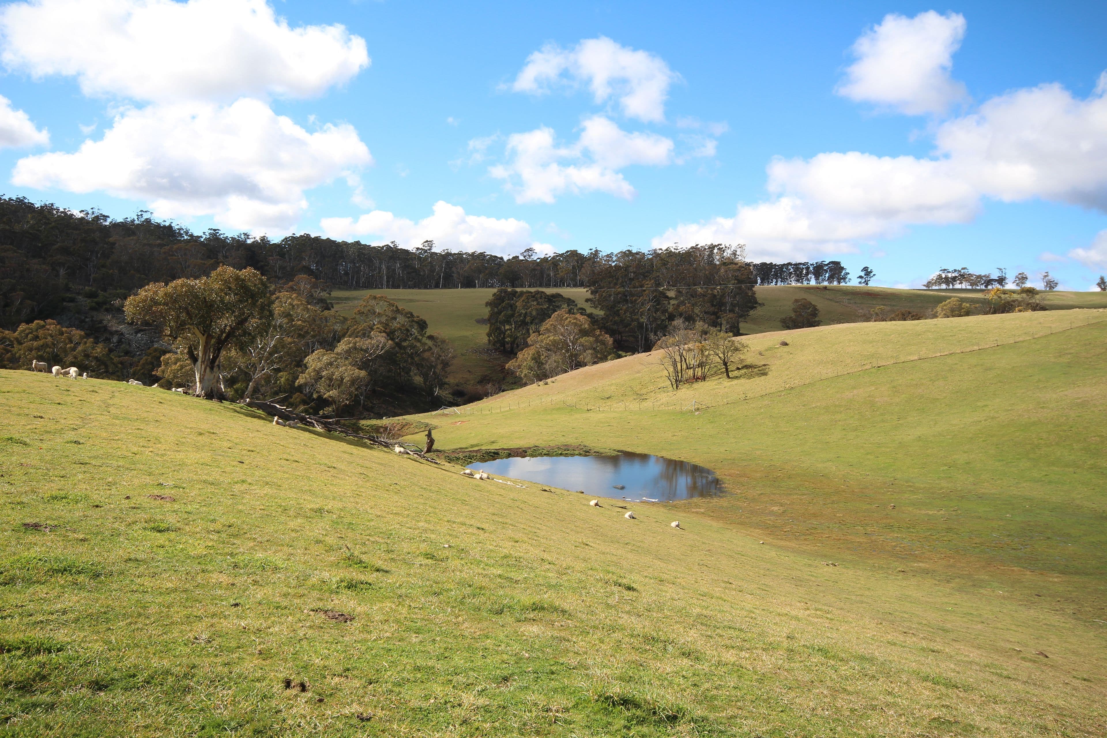 607 Jaunter Road, Oberon NSW 2787, Oberon - Image 1