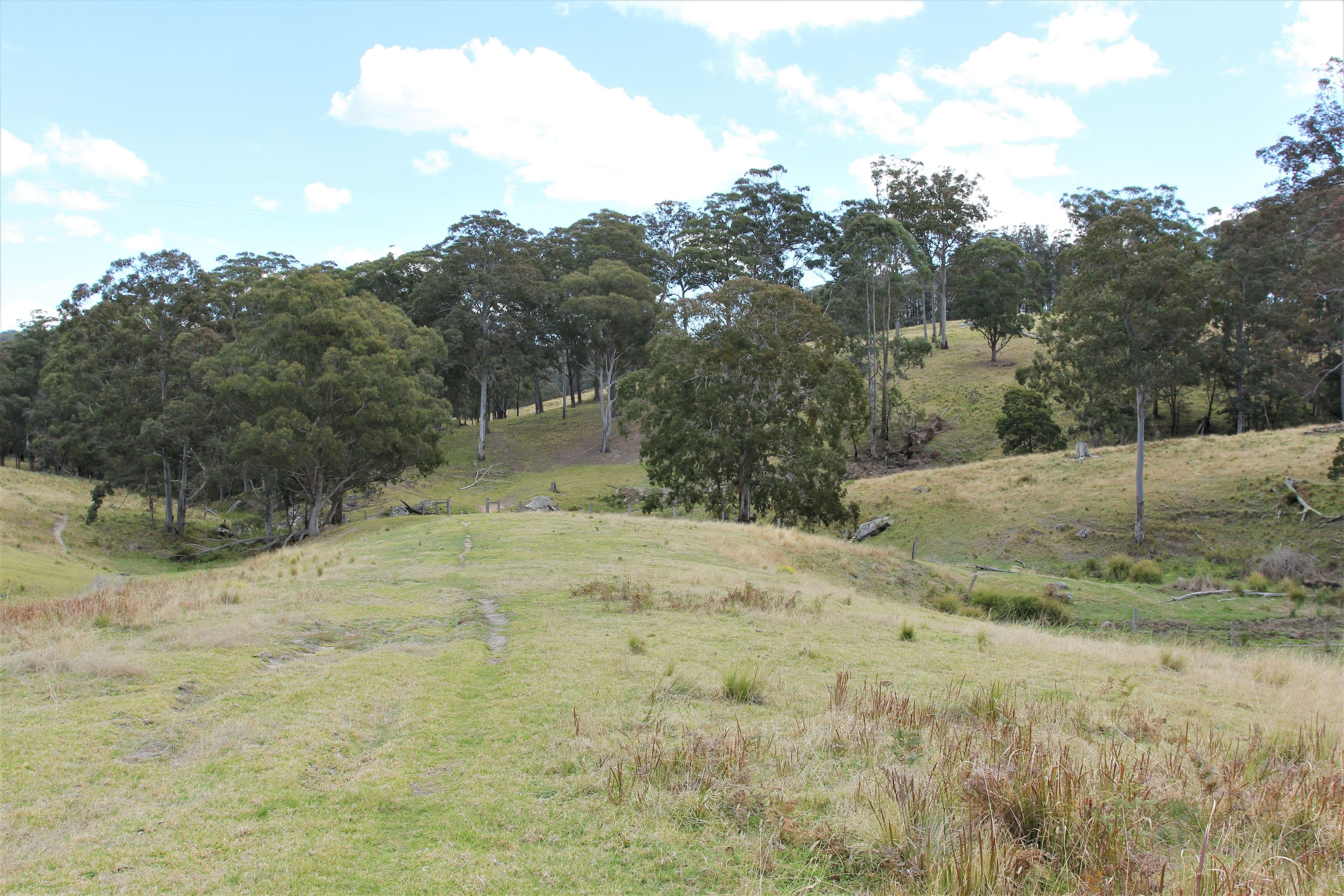 1394 Billirimba Road, Tenterfield NSW 2372, Tenterfield - Thumbnail 7