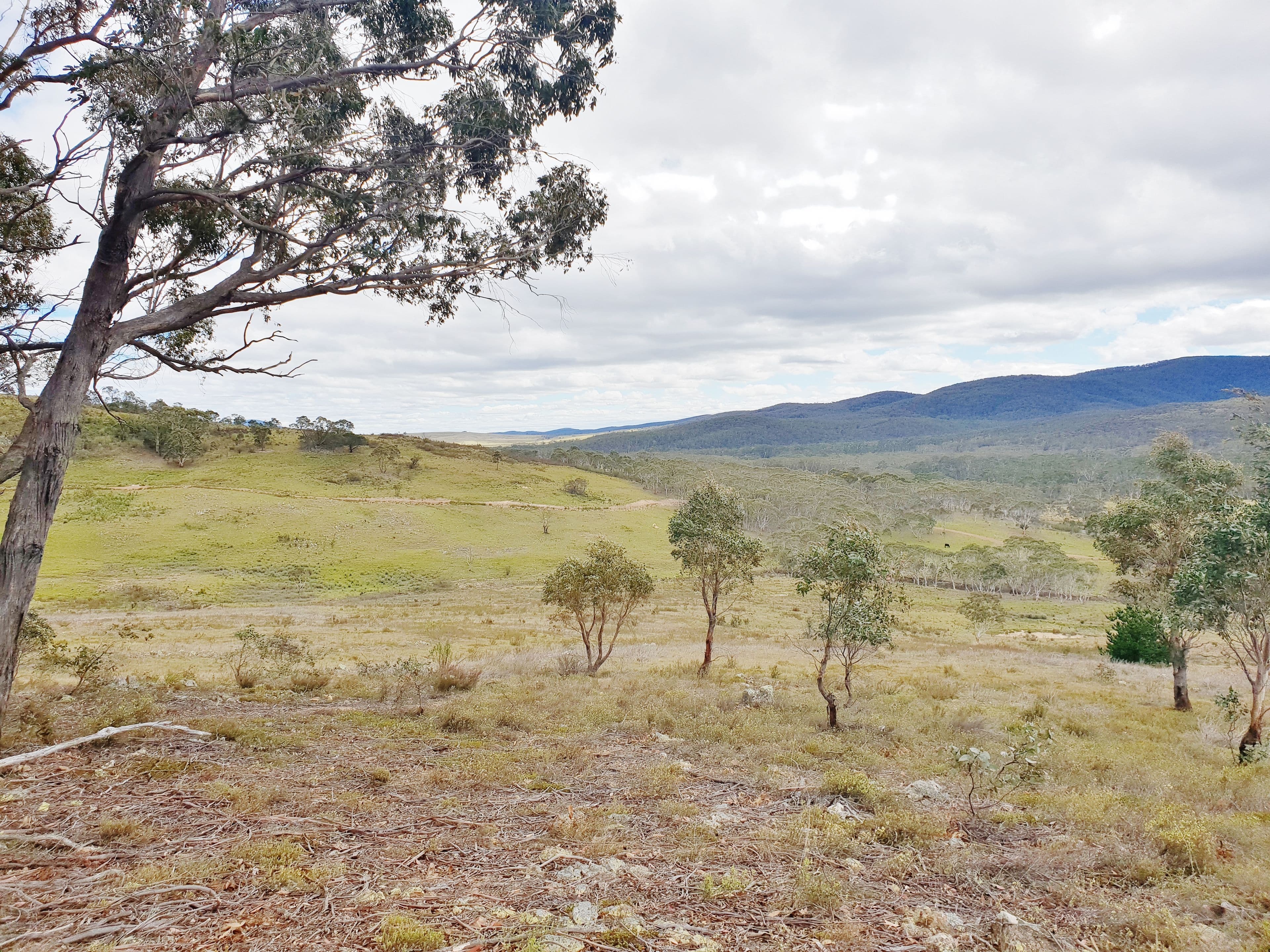 3364 Cooma Road, Braidwood NSW 2622, Braidwood - Thumbnail 2