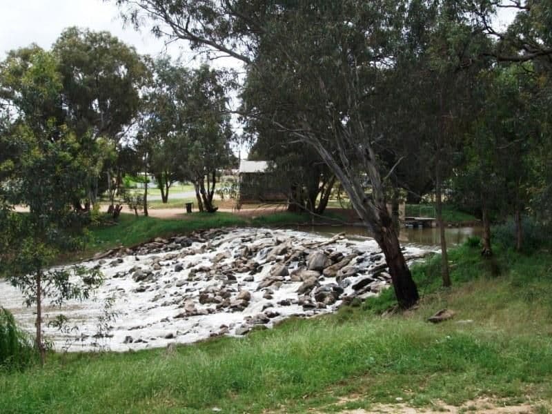 Lot 16 North Forbes Road, Condobolin NSW 2877, Condobolin - Thumbnail 5