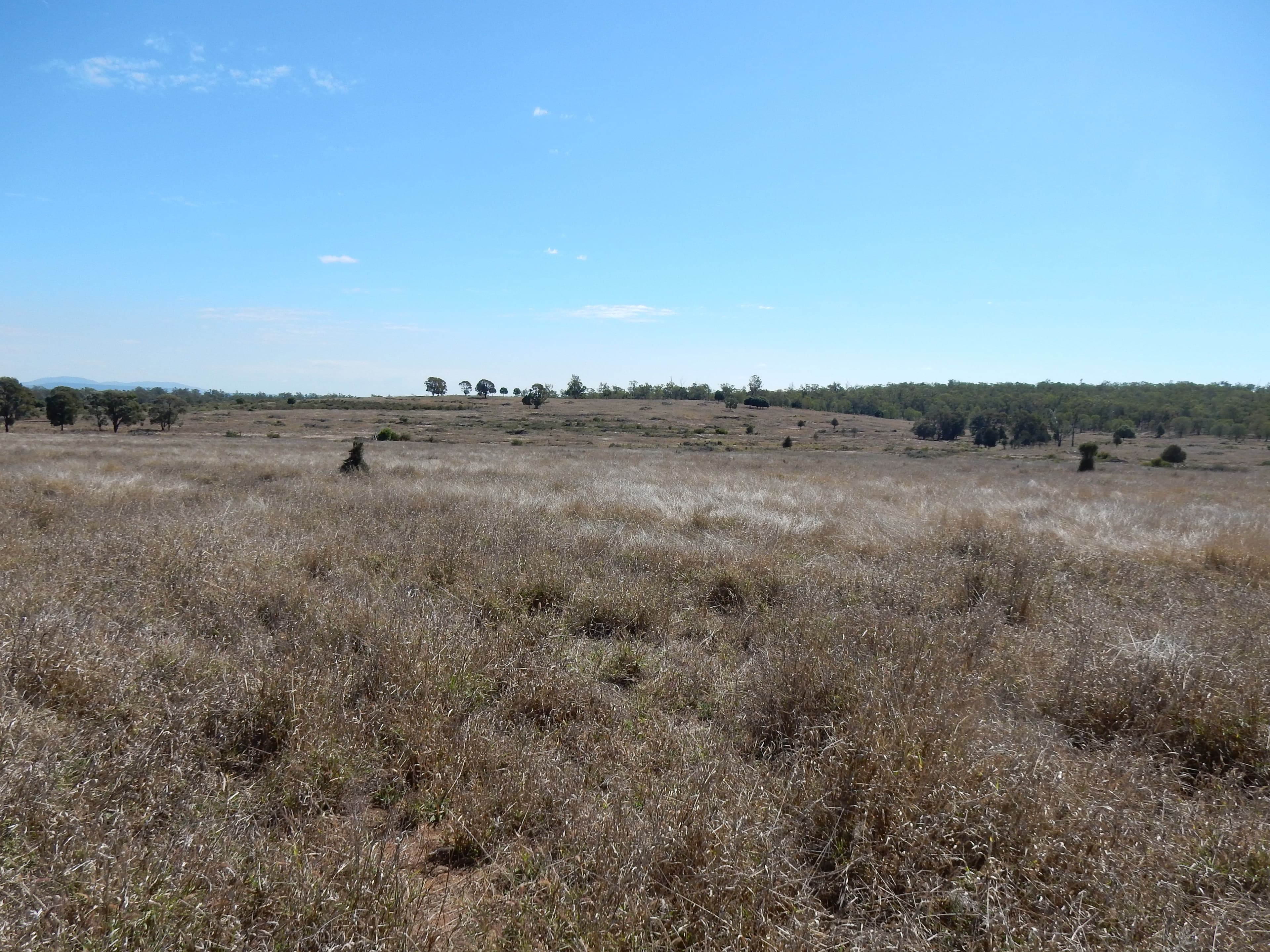 Goovigen QLD 4702, Goovigen - Thumbnail 3