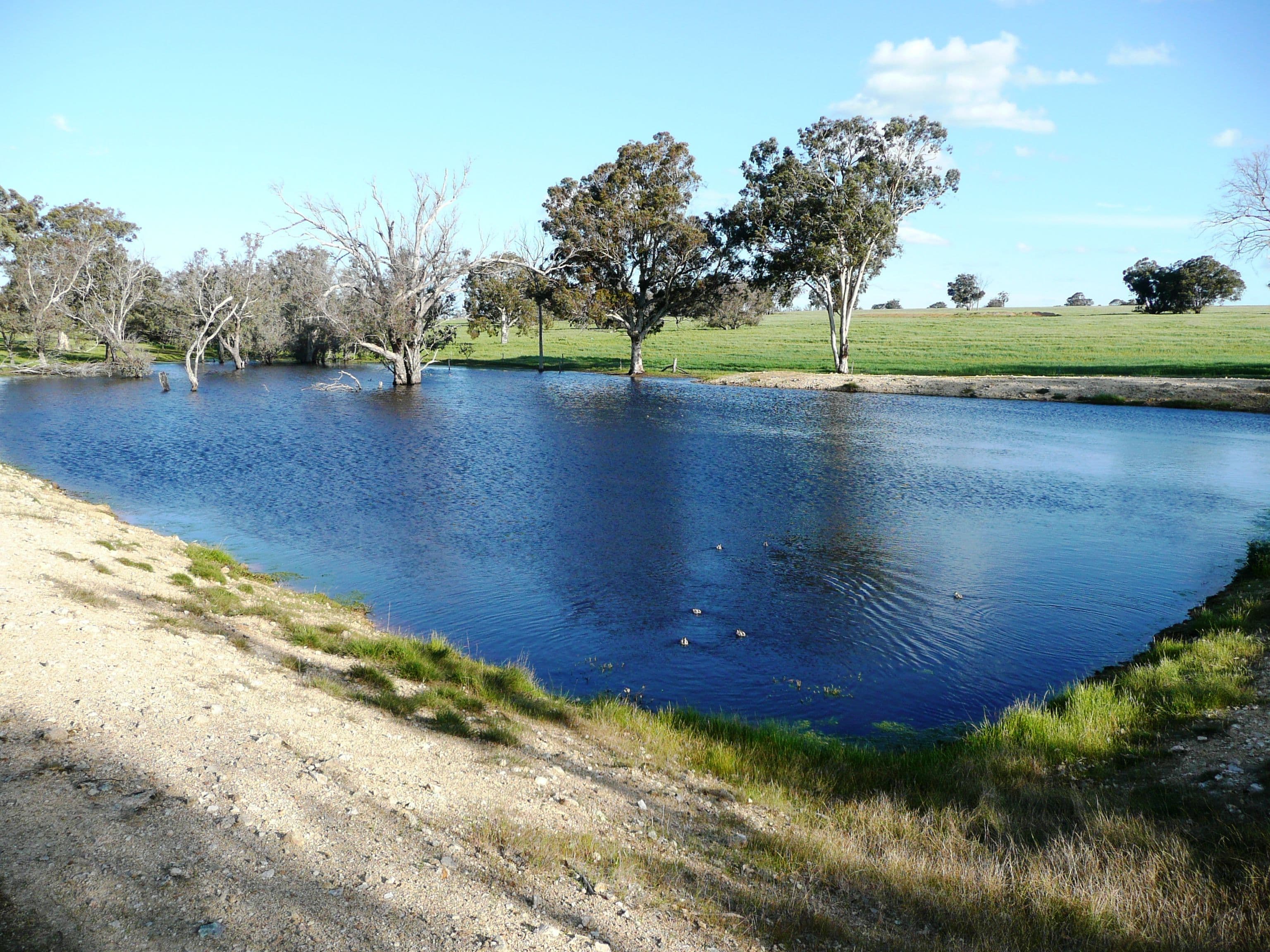 Hyfield, Crossburn, Yaralla, KOJONUP WA 6395, Kojonup - Thumbnail 5