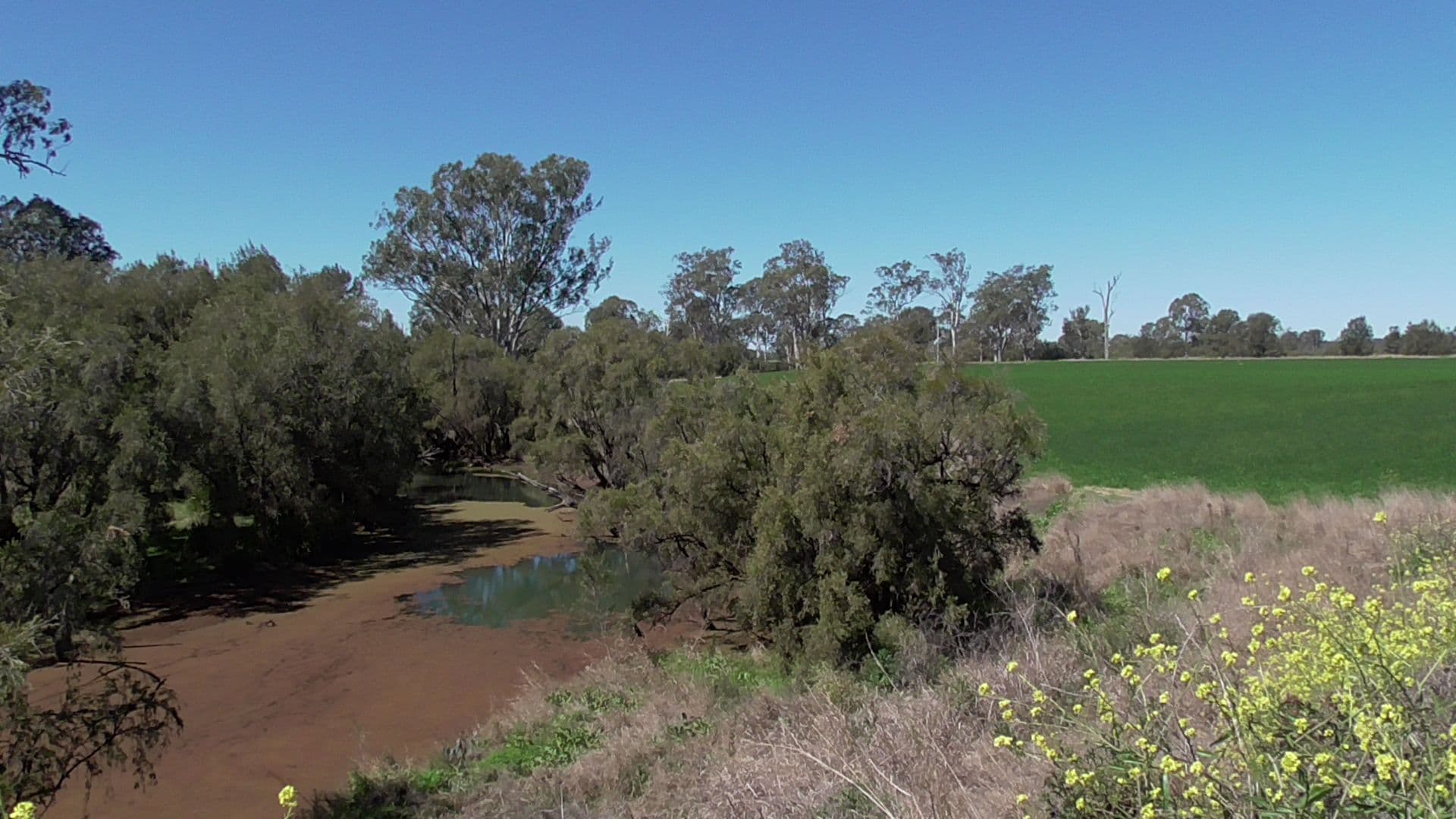 Wondai QLD 4606, Wondai - Thumbnail 6
