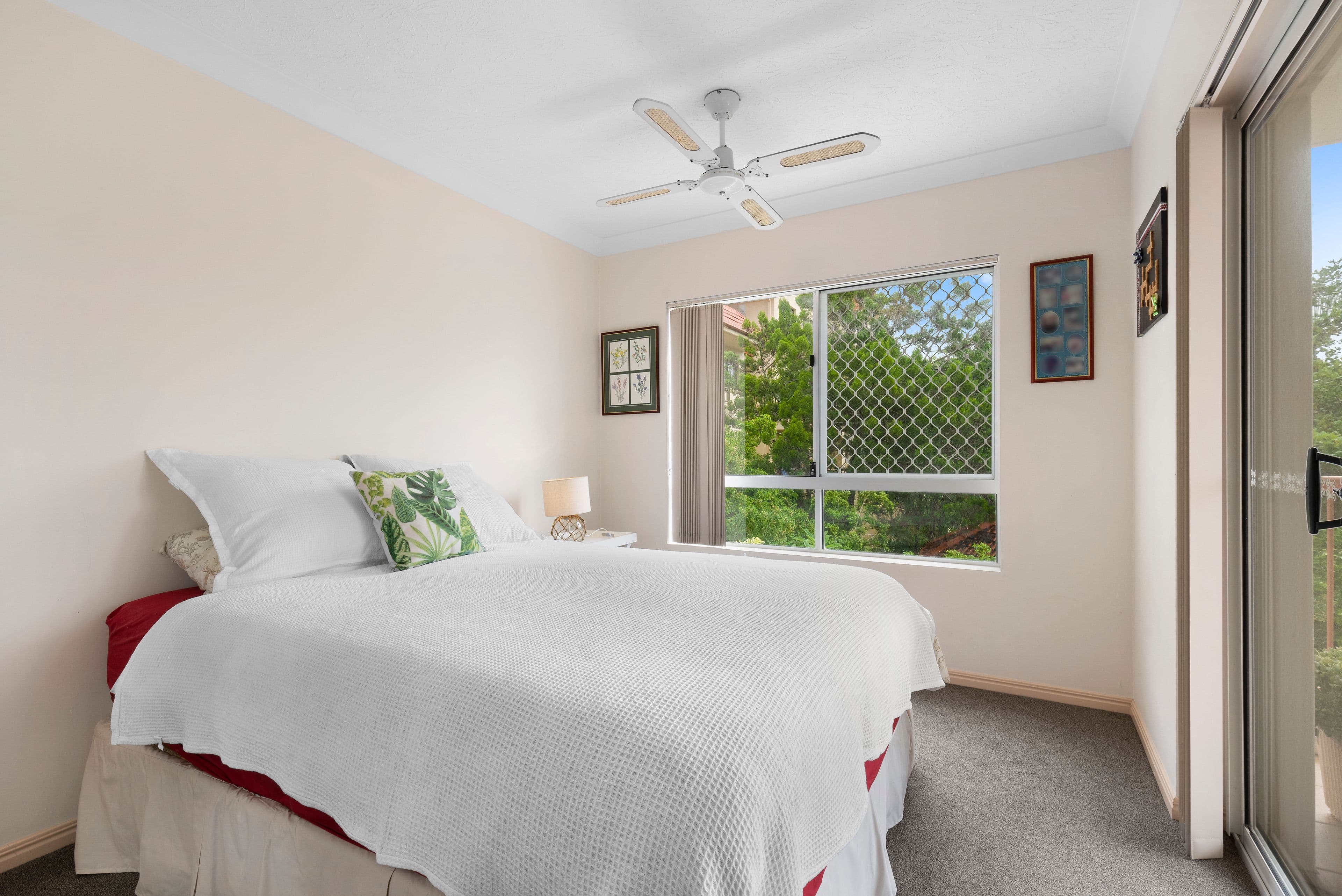 6-8 Petrel Avenue, Mermaid Beach QLD 4218, Mermaid Beach - Thumbnail 8