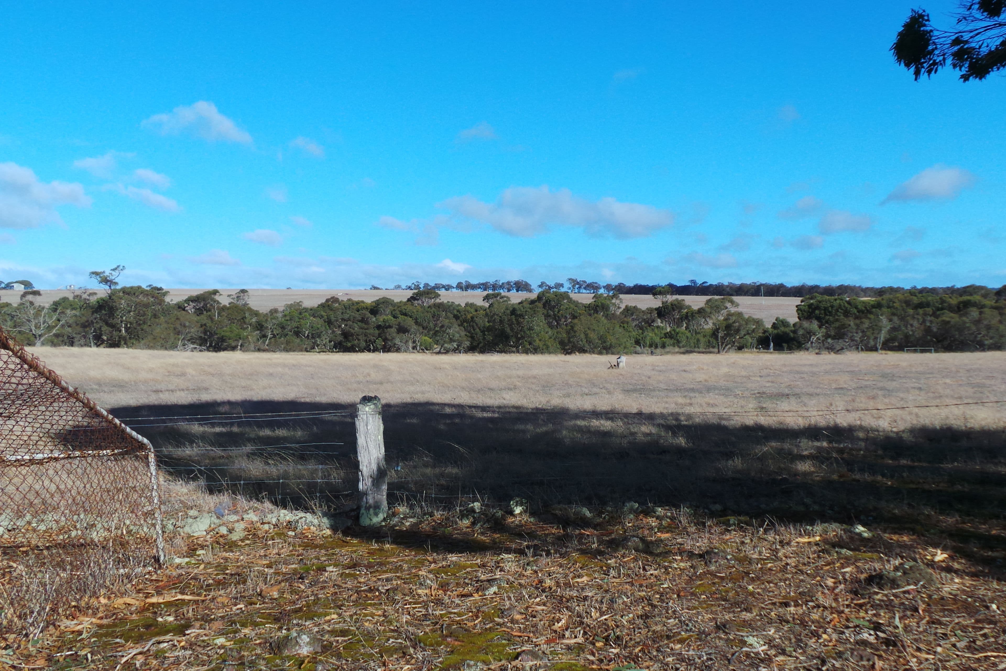 907 Carbarup Road, Kendenup WA 6323, Kendenup - Thumbnail 4