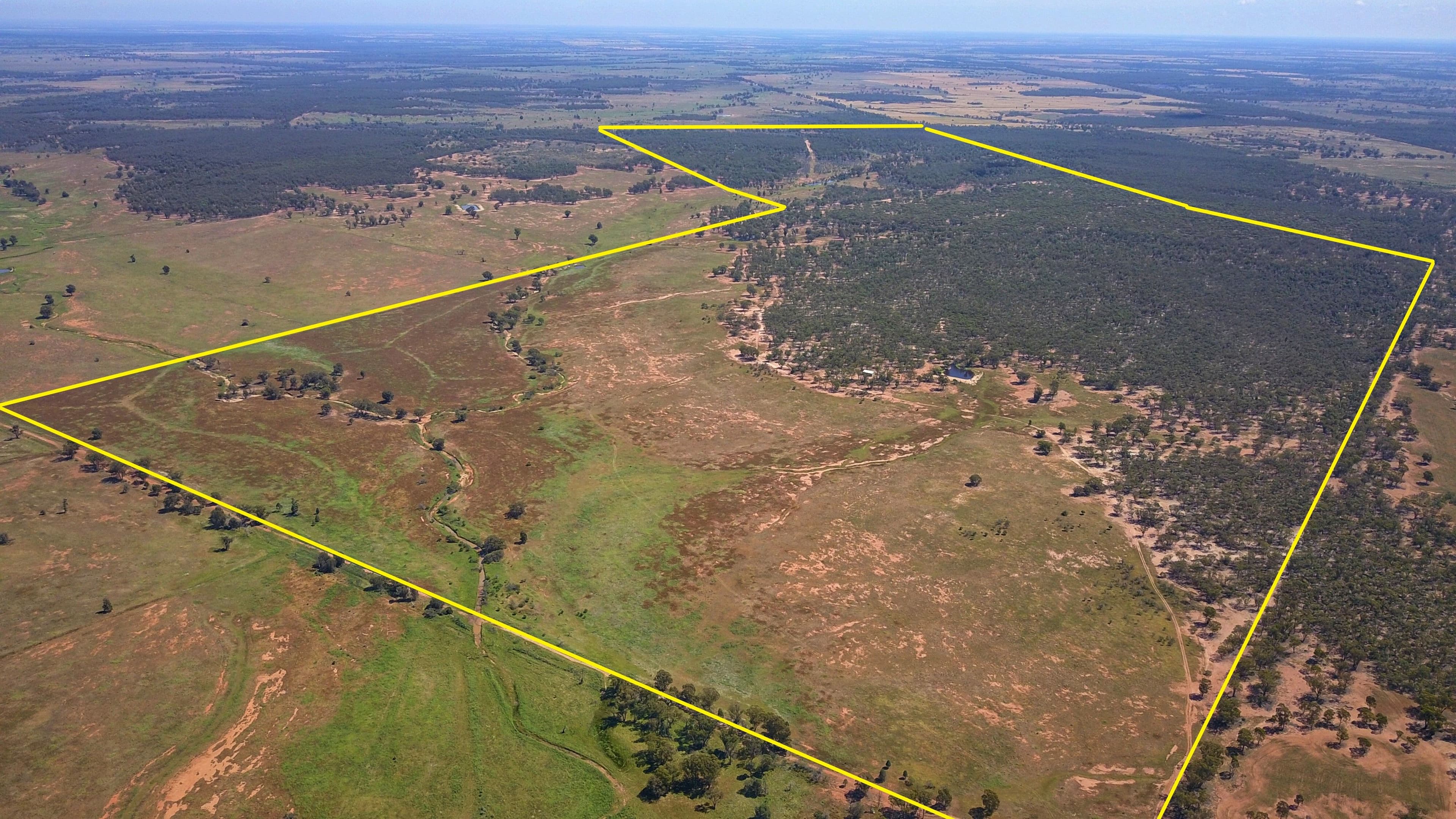 336 Hockey Road, Tullamore NSW 2874, Tullamore - Thumbnail 2