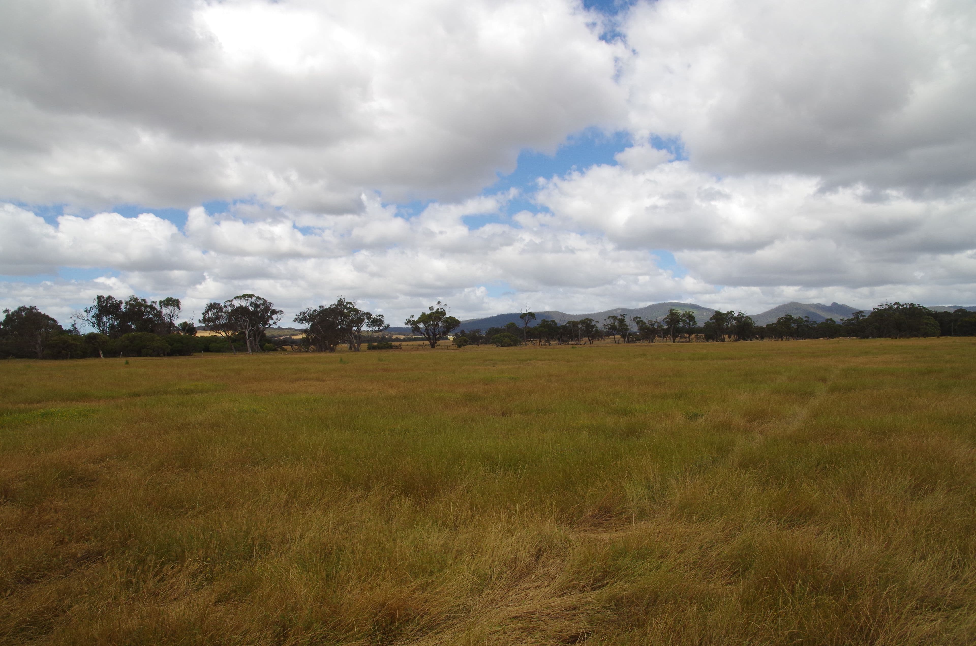 L3215 Chester Pass Road, Takalarup WA 6324, Takalarup - Image 1
