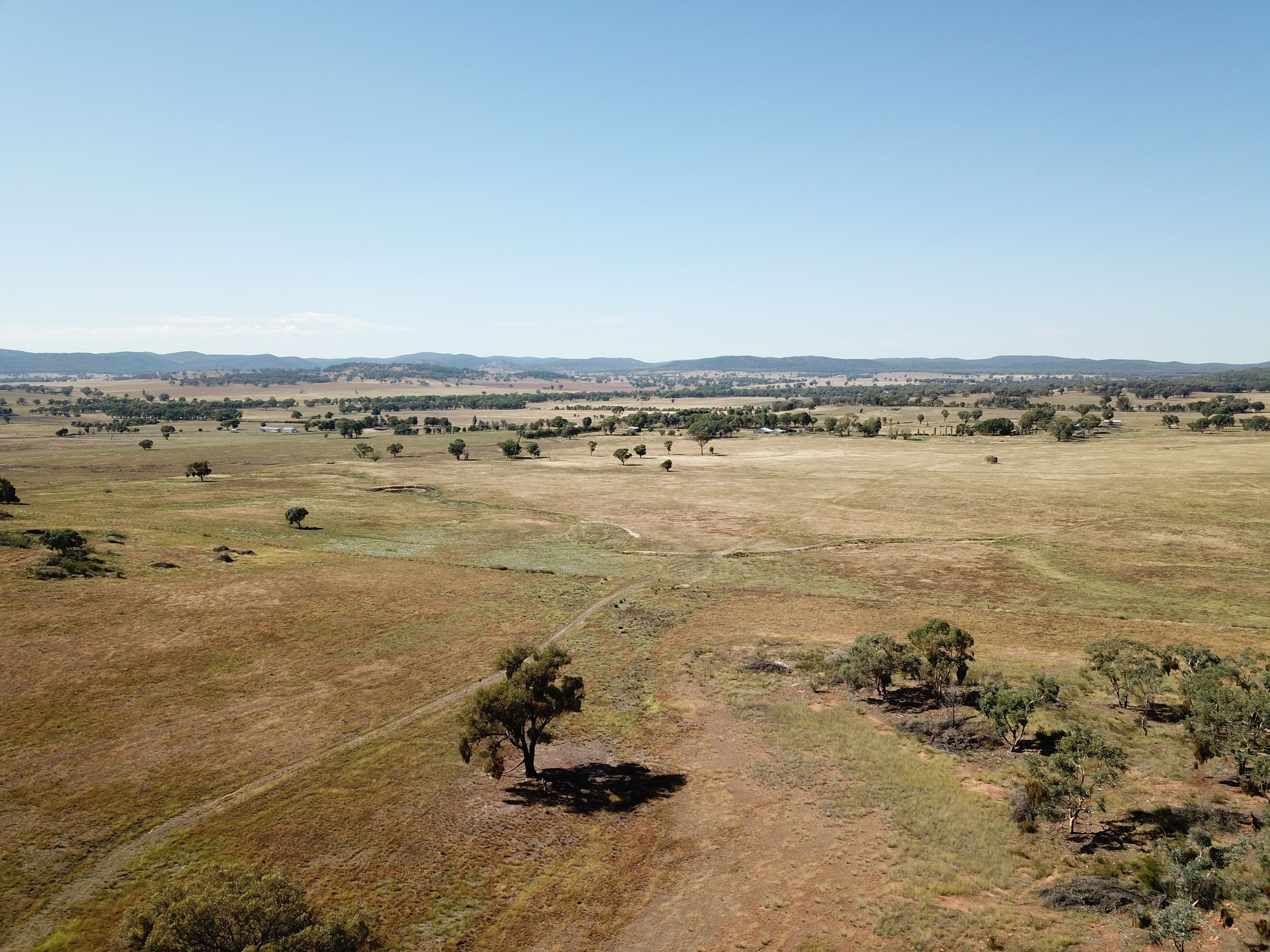 'Emrose' 6702 Renshaw McGirr Way, Baldry NSW 2867, Baldry - Thumbnail 3