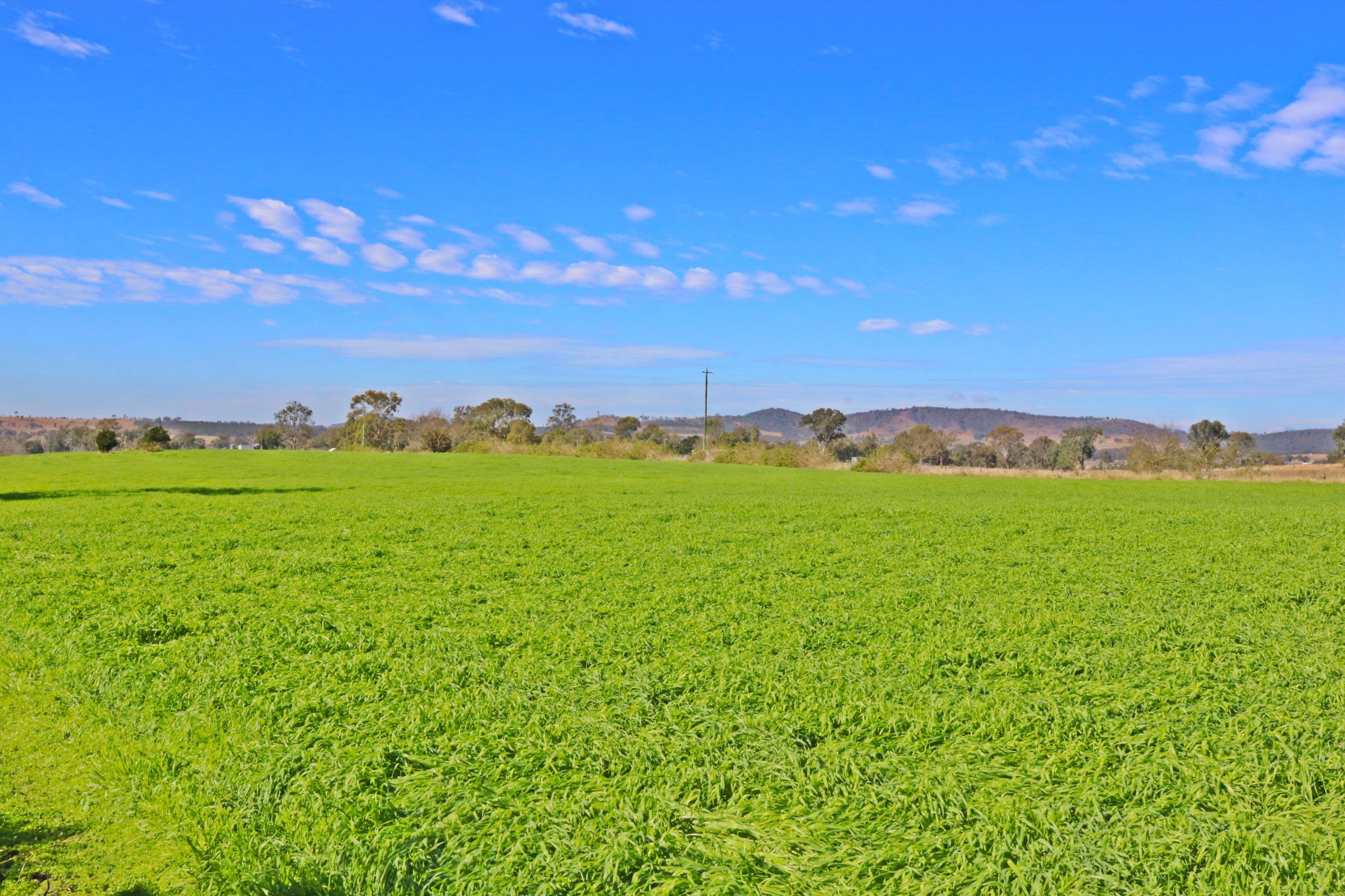 680 Rosevale Road, Rosevale QLD 4340, Rosevale - Thumbnail 7